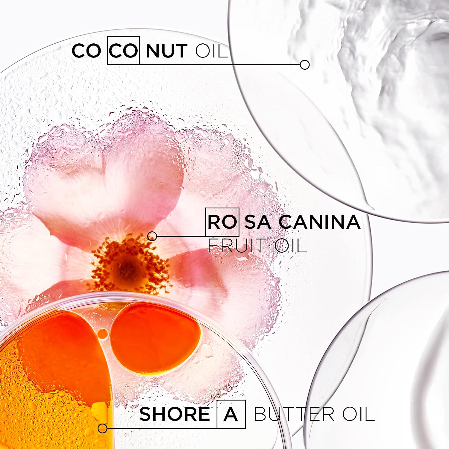 Kerastase Discipline Masque Oleo-Relax Hair Mask | Deep Nourishing Hair Mask | Moisturizes Hair and Provides Shine | With Shorea Butter and Coconut