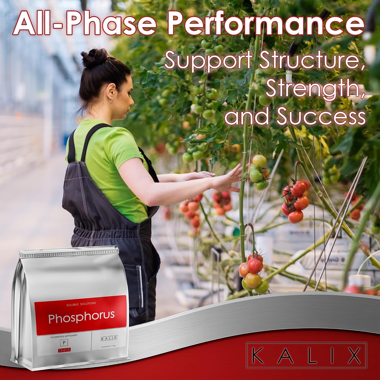 KALIX Phosphorus | 12-61-0 Monoammonium Phosphate Fertilizer | High Phosphorus