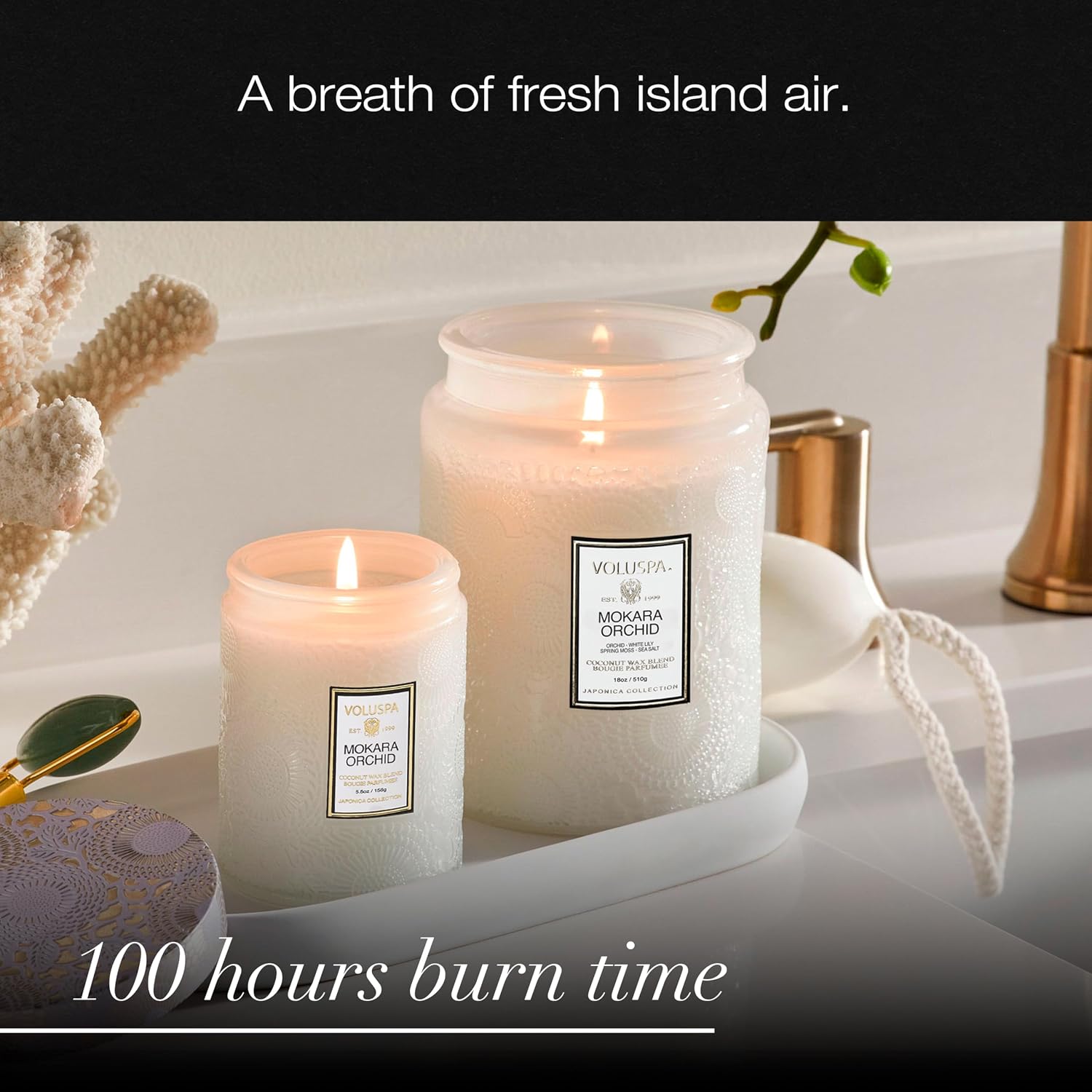 Voluspa French Cade Lavender Large Scented Candle Jar 18 Oz, 100 Hr Burn | Coconut Wax Blend in Decorative Glass, Clean Even Burn, USA Handcrafted Gift for Hosts, Fragrance Lovers & Relaxed Rooms