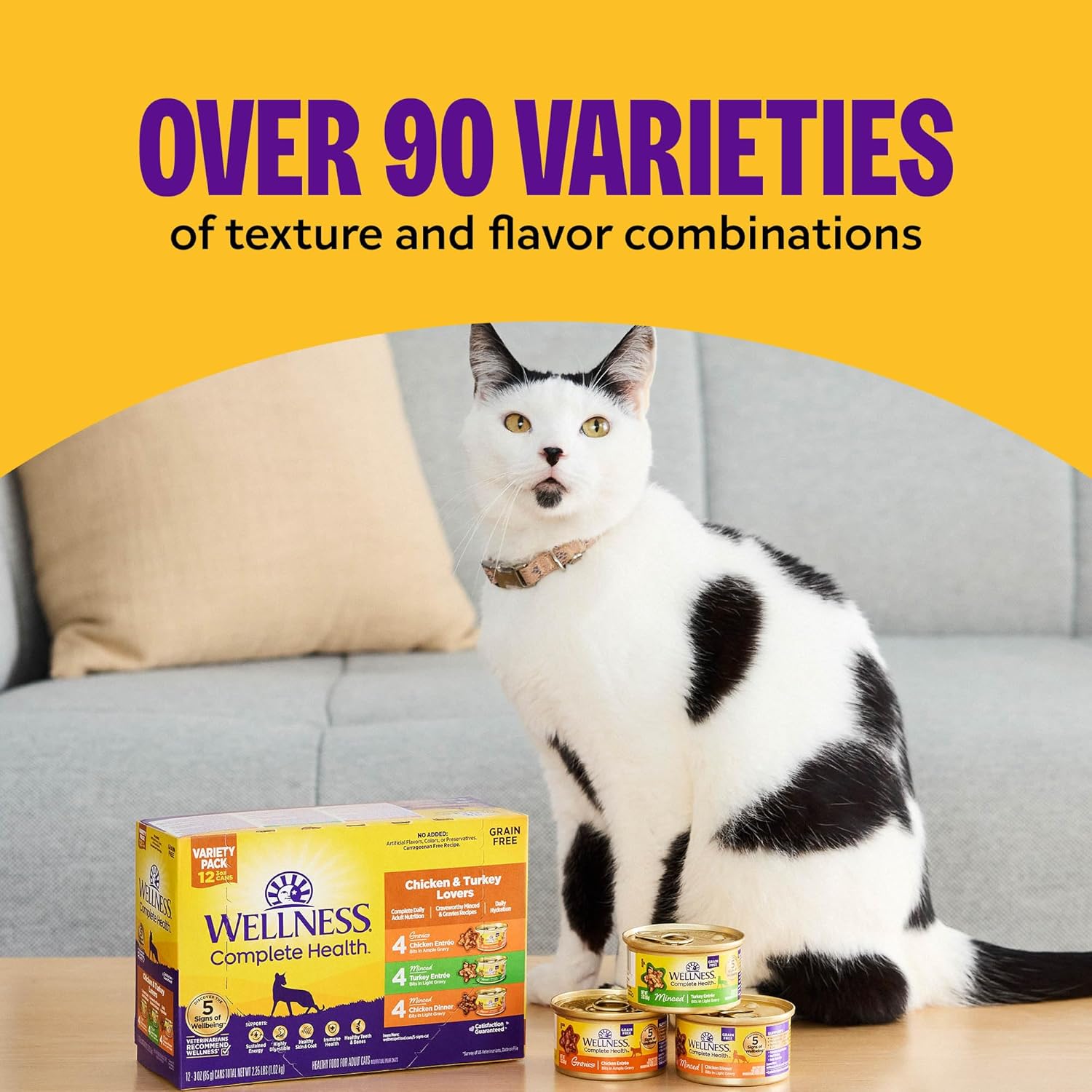 Wellness Complete Health Pate Variety Pack Adult Canned Wet Cat Food, Natural, Protein Rich, Grain Free, Chicken and Turkey Favorites, 3 oz