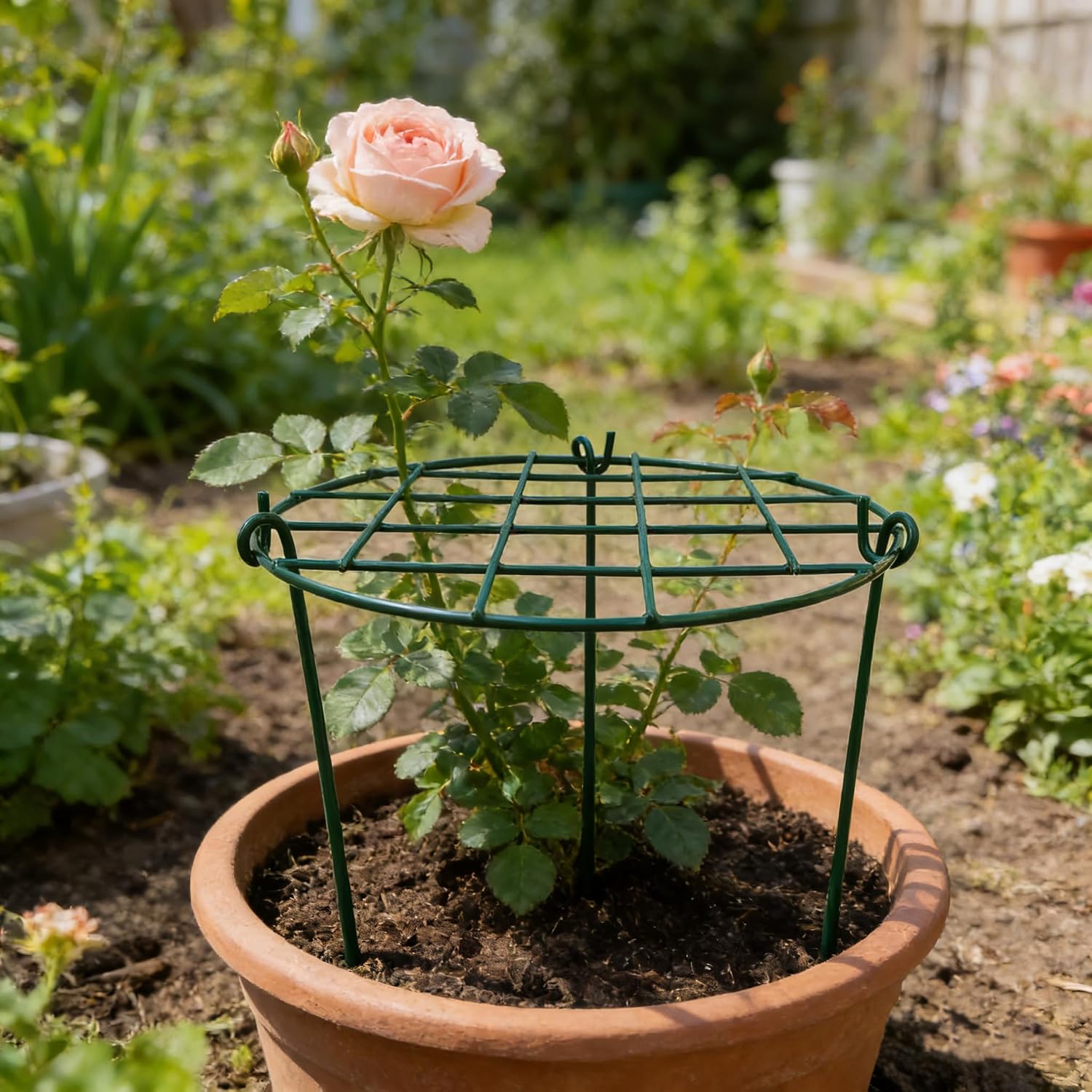 MTB Supply 5 Pack 36" x 18" Peony Double Ring Plant Support,Plant Support Stakes for Tomatoes Peony Lily Rose Plant Support Rings Peony Cages for Outdoor Plants Flowers Vegetables