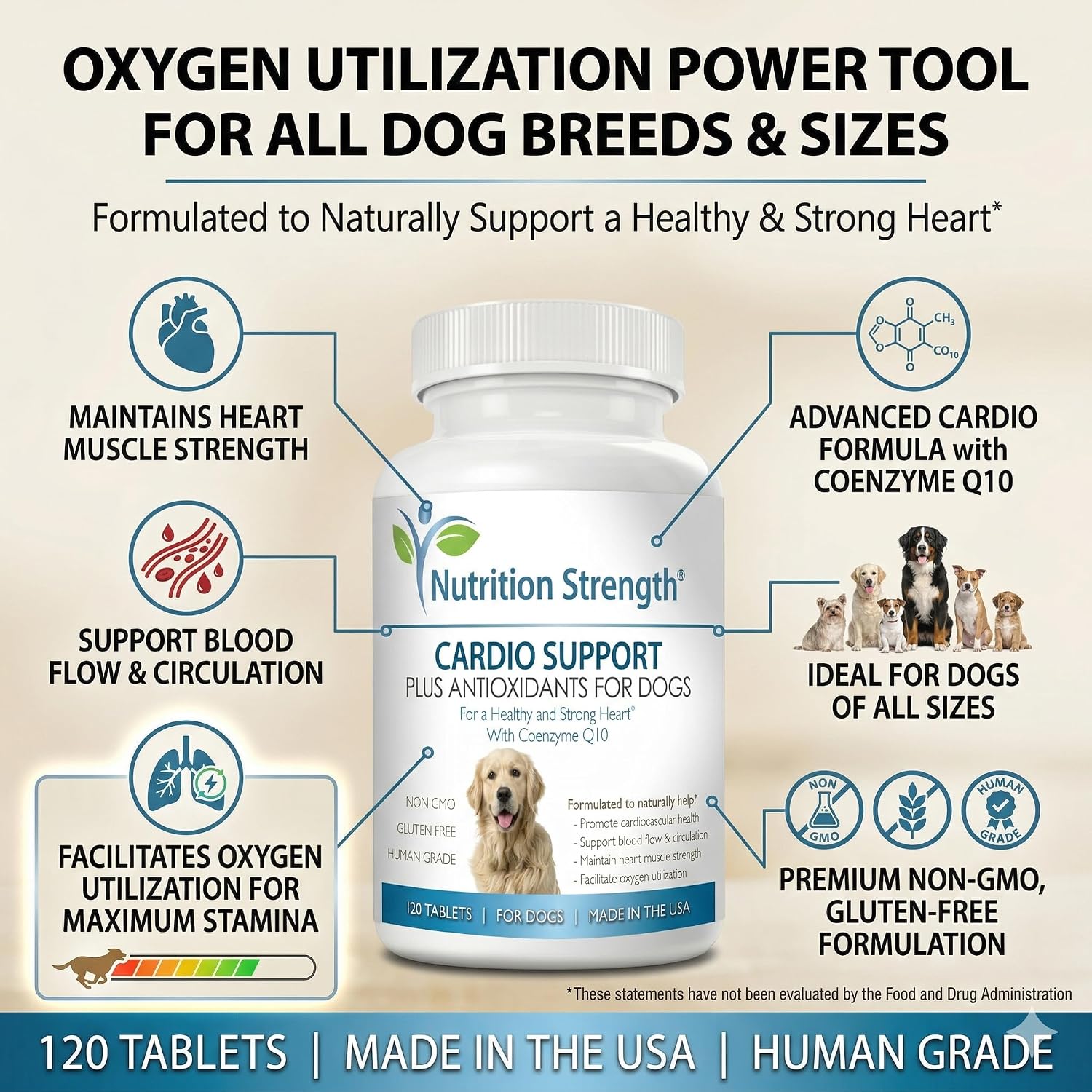 Cardio Support for Dogs Plus Antioxidant, L-Carnitine, L-Taurine, with Coenzyme Q10 and Vitamin E, Promotes a Healthy and Strong Dog Heart