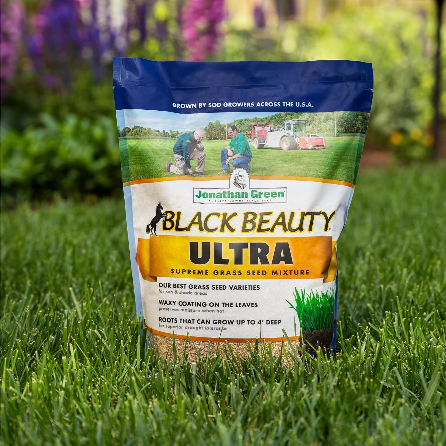Jonathan Green (10323) Black Beauty Ultra Grass Seed - Cool Season Lawn Seed (25 lb)