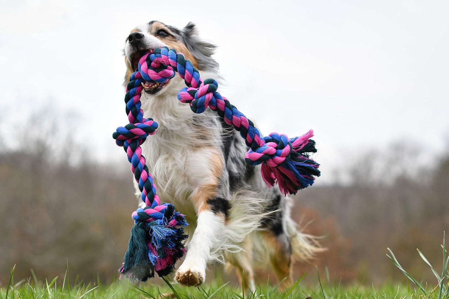 Mammoth Flossy Chews Color Rope Tug – Premium Cotton-Poly Tug Toy for Dogs – Interactive Dog Rope Toy – Tug Dog Chew Toy