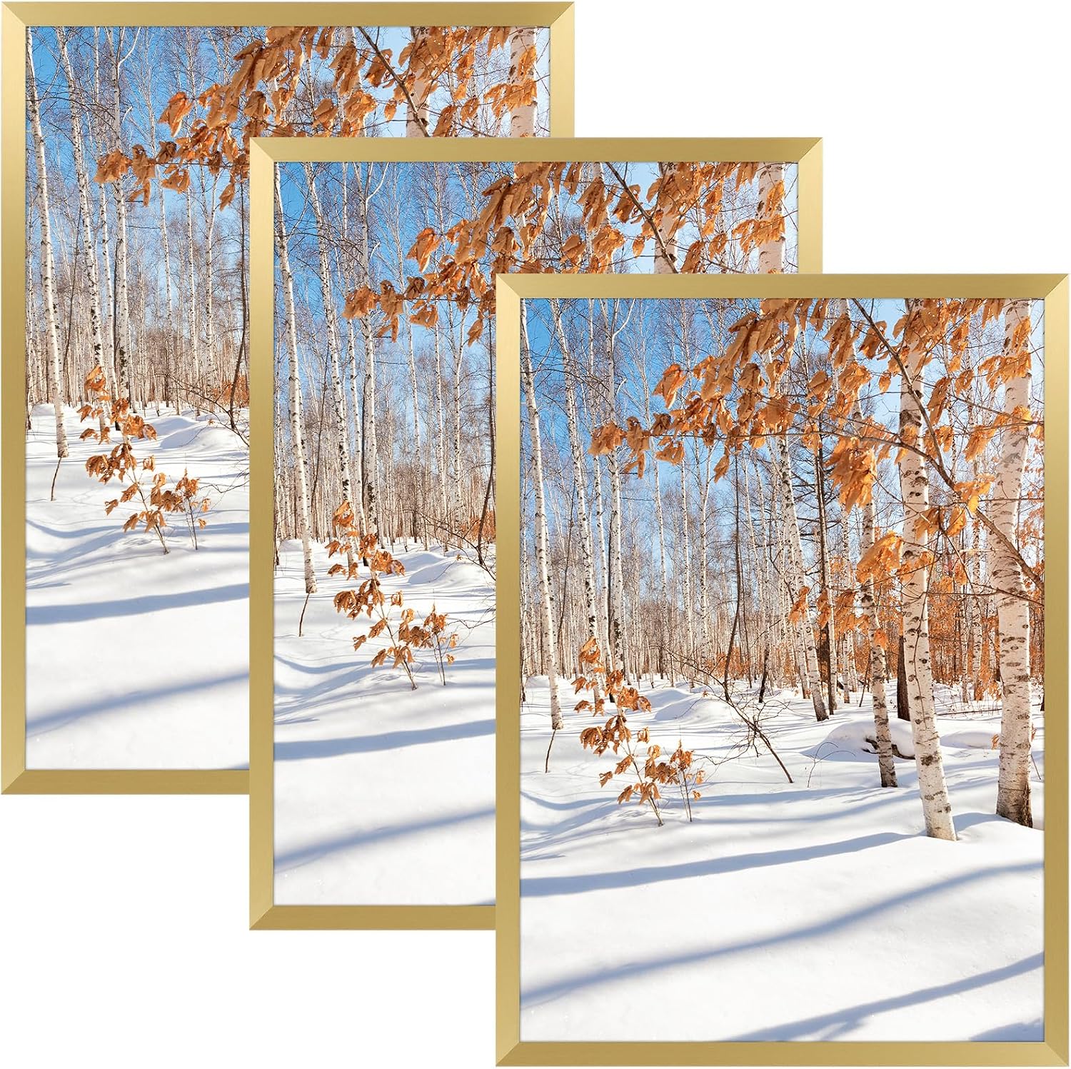 Golden State Art 3 Pack 12x12 Black Aluminum Frames, Real Glass Fronts