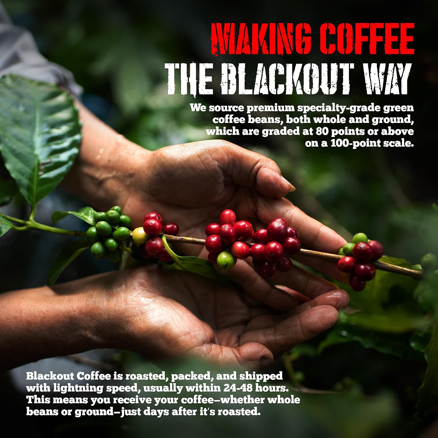 Blackout Coffee Blueberry Crumble Ground Coffee, Medium Roast, 12 oz