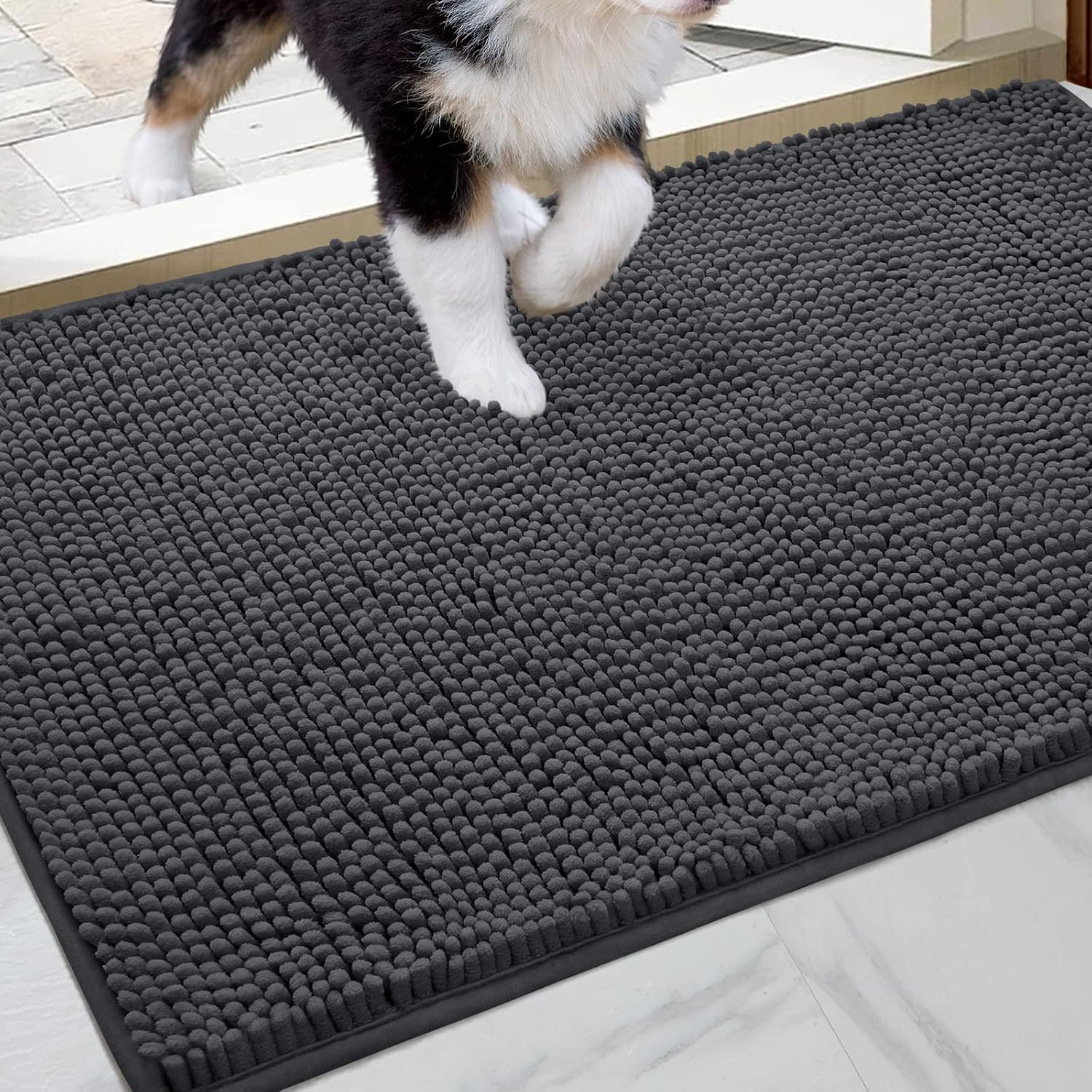 HOMEIDEAS Dog Door Mat for Muddy Paws 30x20, Absorbs Moisture and Dirt, Non-Slip Washable Doormat, Soft Chenille Mud Mat for Dogs