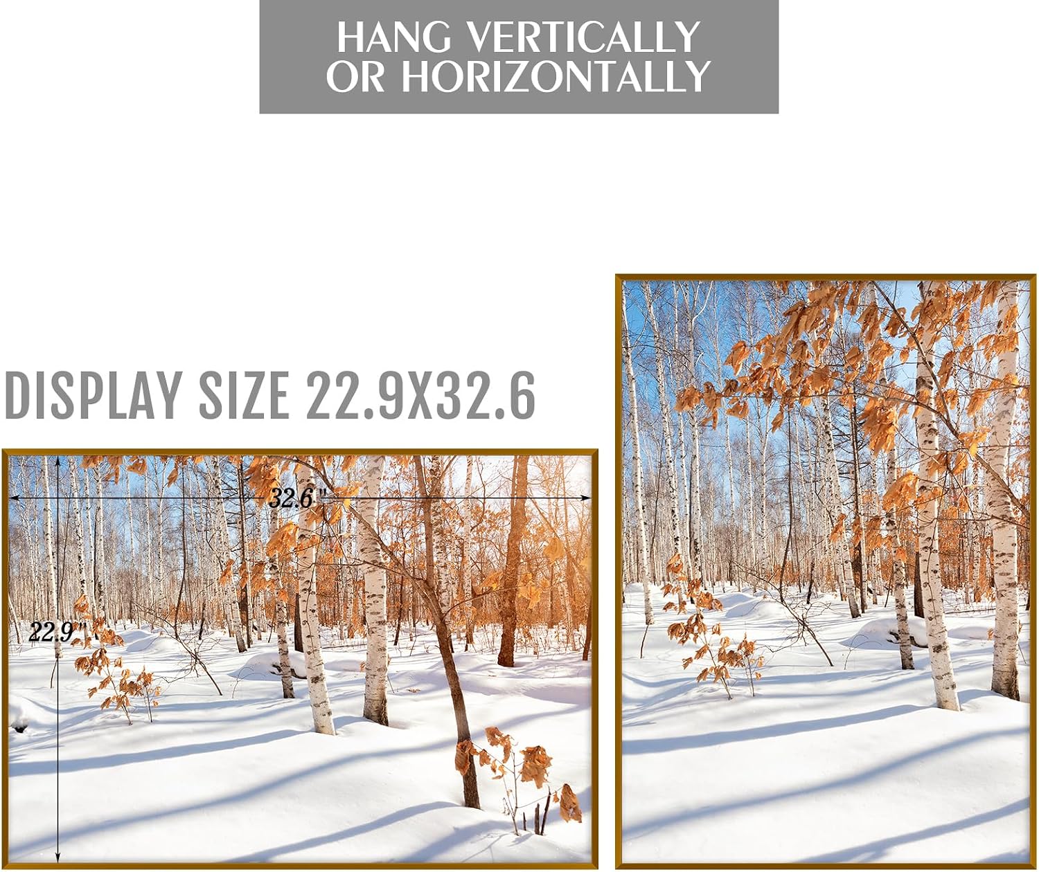Golden State Art 3 Pack 12x12 Black Aluminum Frames, Real Glass Fronts