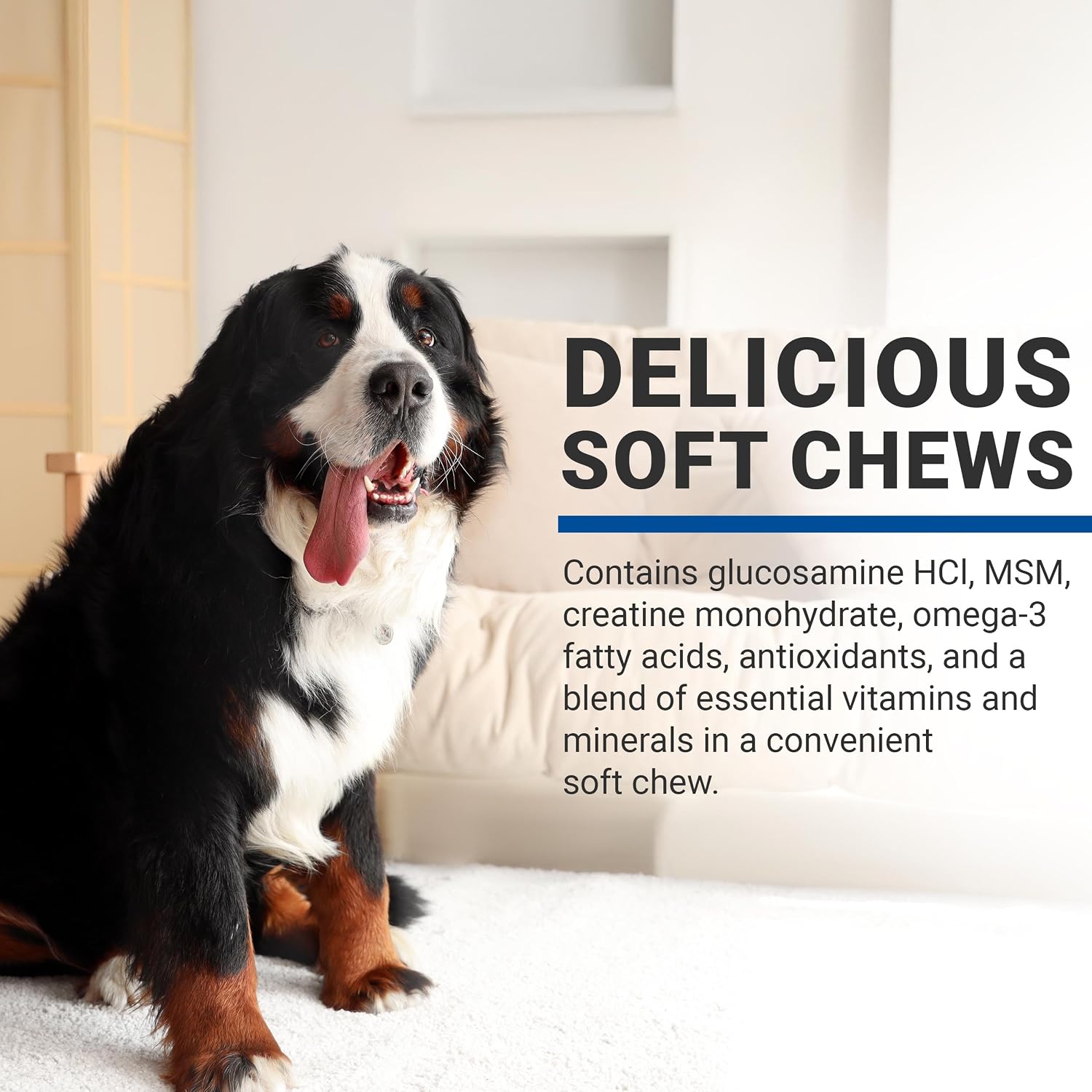 VPS SynovialMax Hip & Joint Soft Chews for Dogs - 240 count | Glucosamine for Dogs with MSM and Vitamin C - Advanced Dog Hip and Joint Supplement - Liver Flavor