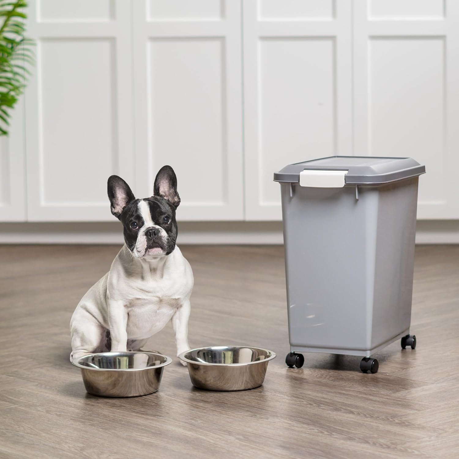 IRIS USA Dog Food Storage Container, Up to 30 lbs, Navy/Pearl, Made in USA | Wheels for Mobility, Airtight Seal, BPA-Free, Best for Bird Seed, Cat food, Cat Litter, Chicken Feed, Pellets