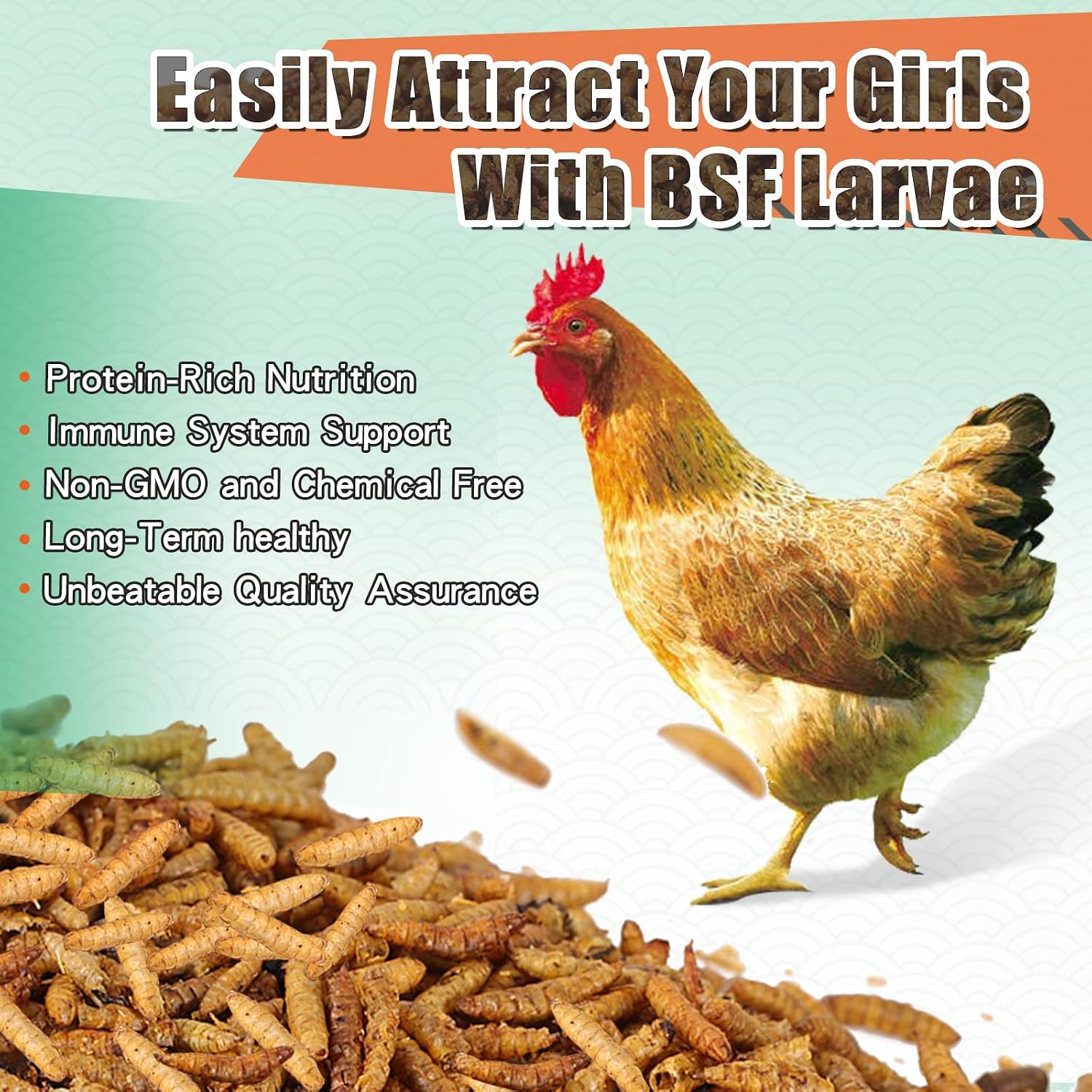 20lb Dried Mealworms for Chickens Duck High Protein Birds Treat