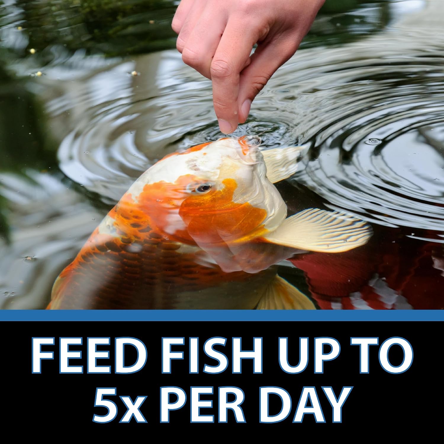 CrystalClear Staple Pond Fish Food for Koi & Goldfish, 8.8 Pound Bucket | Protein packed floating pellets for summer nutrition with easy digestion to support healthy growth and vitality