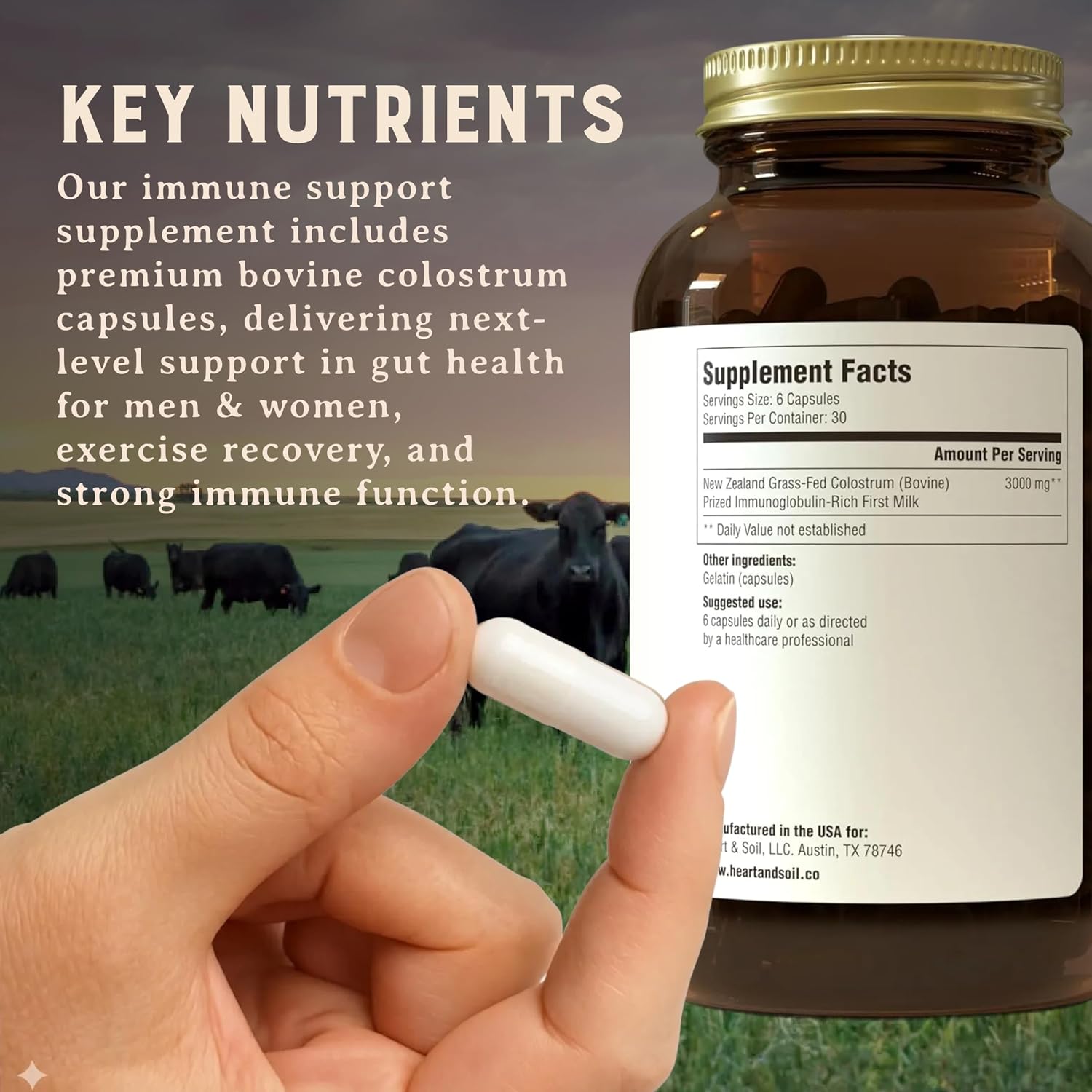 HEART & SOIL Gut & Digestion Supplement, 180 Capsules