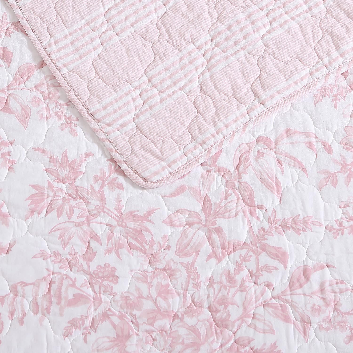 Laura Ashley – Queen Quilt Set, Soft & Lightweight Bedding with Matching Shams, Reversible Floral Room Decor, College Dorm Room Essentials (Bedford Blue)