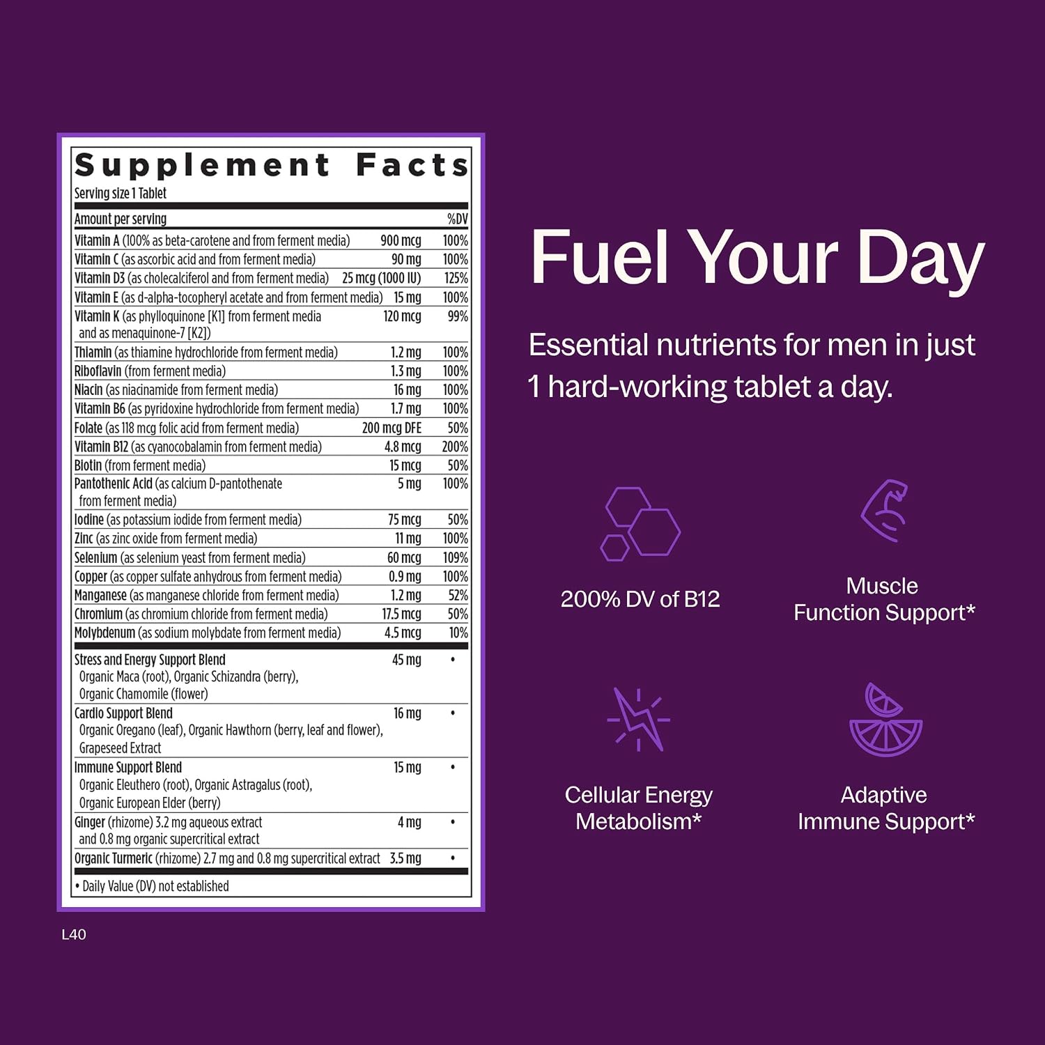 New Chapter Every Man's One Daily Multivitamin - Supports Immune, Energy & Bone Health* - Contains Fermented Ingredients, Organic Vegetables & Herbs - Vegetarian, Kosher & Gluten-Free - 48 Tablets