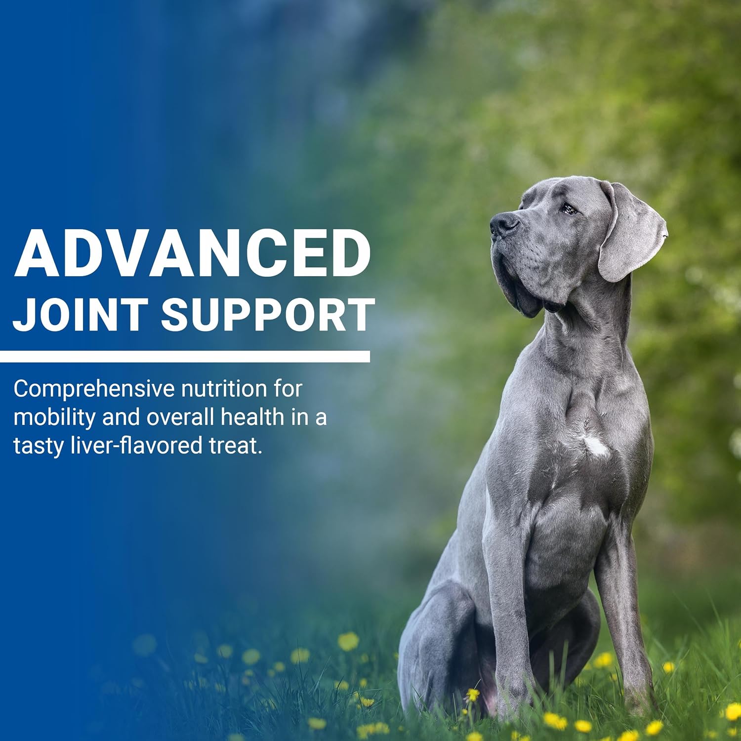VPS SynovialMax Hip & Joint Soft Chews for Dogs - 240 count | Glucosamine for Dogs with MSM and Vitamin C - Advanced Dog Hip and Joint Supplement - Liver Flavor