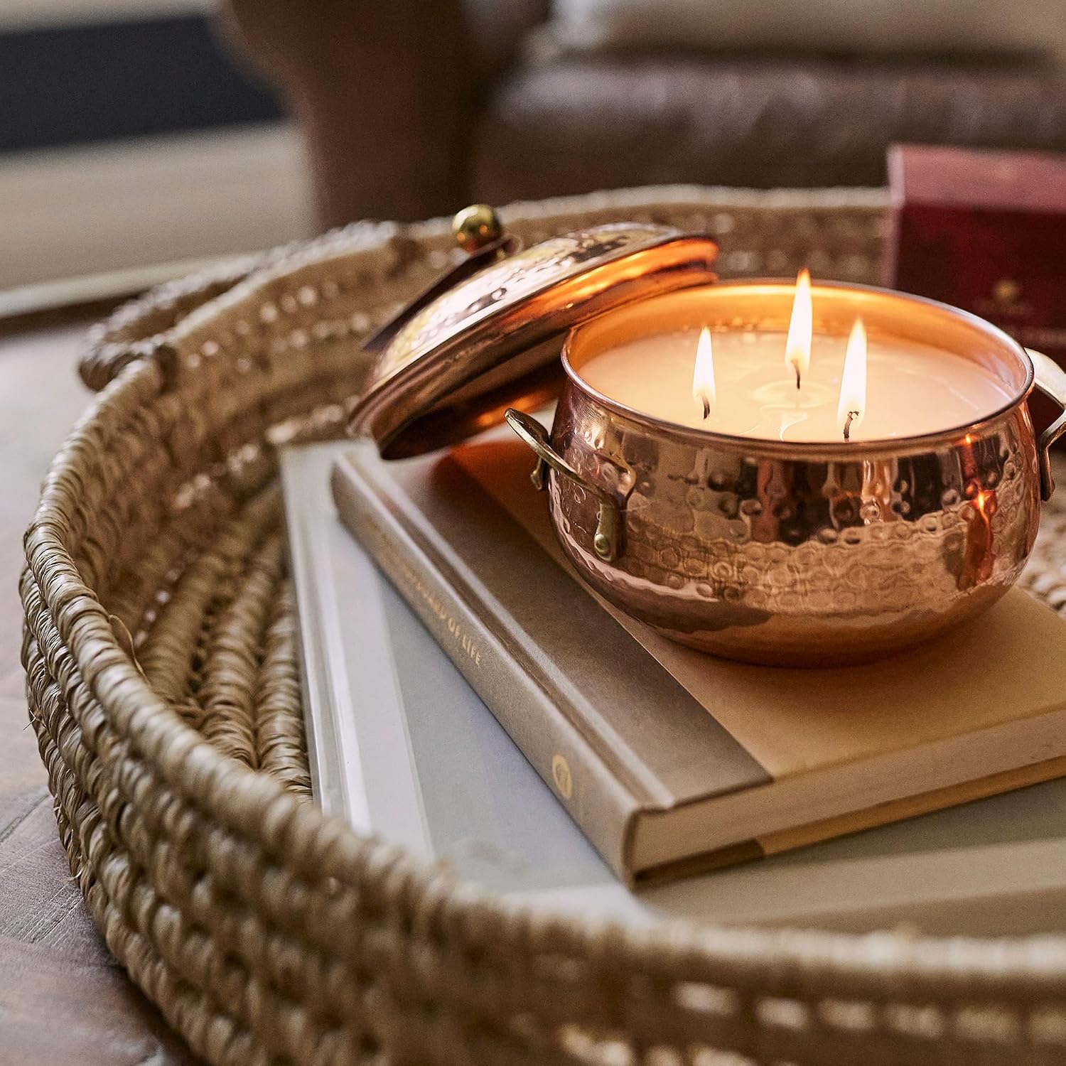 Thymes Simmered Cider Copper Candle - Warm & Spicy Apple Scented Candles for Home - Notes of Apple, Clove, and Cardamom - Luxury Gifts for Women - Fall Decor - 3 Wick (Copper Pot, 18 oz)