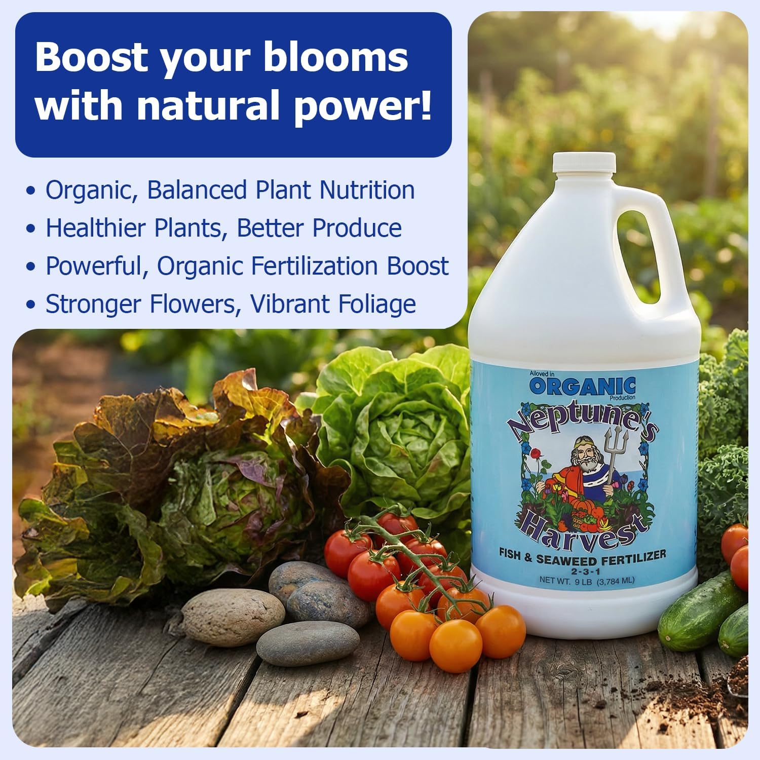 Neptune's Harvest Fish & Seaweed Liquid Fertilizer (2-3-1) - 1 Gallon Bottle - Plant Food for Garden - Indoor & Outdoor Organic Plant Fertilizer for Vegetables, Flowers, Fruit, and Lawns