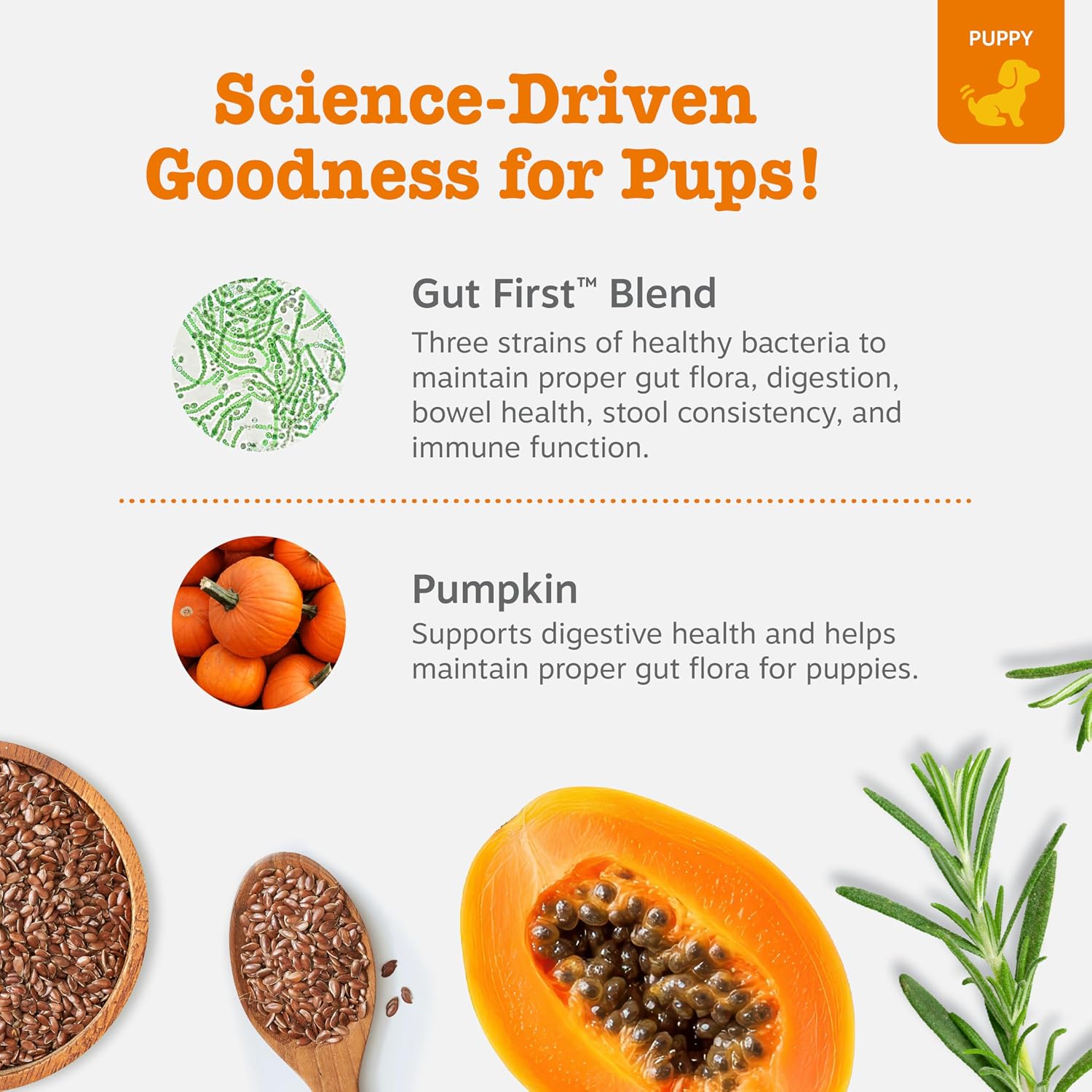 Zesty Paws Probiotics for Dogs - Digestive Enzymes for Gut Flora, Digestive Health, Diarrhea & Bowel Support - Clinically Studied DE111 - Dog Supplement Soft Chew for Pet Immune System - Pumpkin, 90ct