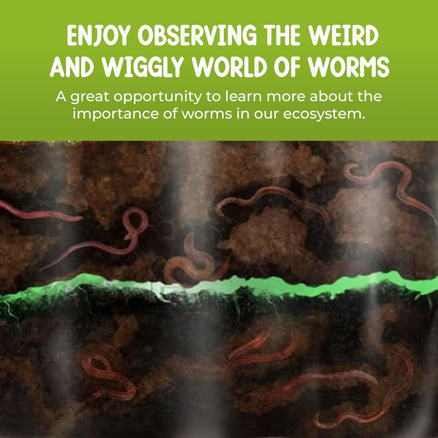 Worm Farm for Kids Kit with 20 Live Composting Worms, All-in-One Bundle | Watch composting in action with this complete kit with live worms included, all-in-one bundled engaging science project