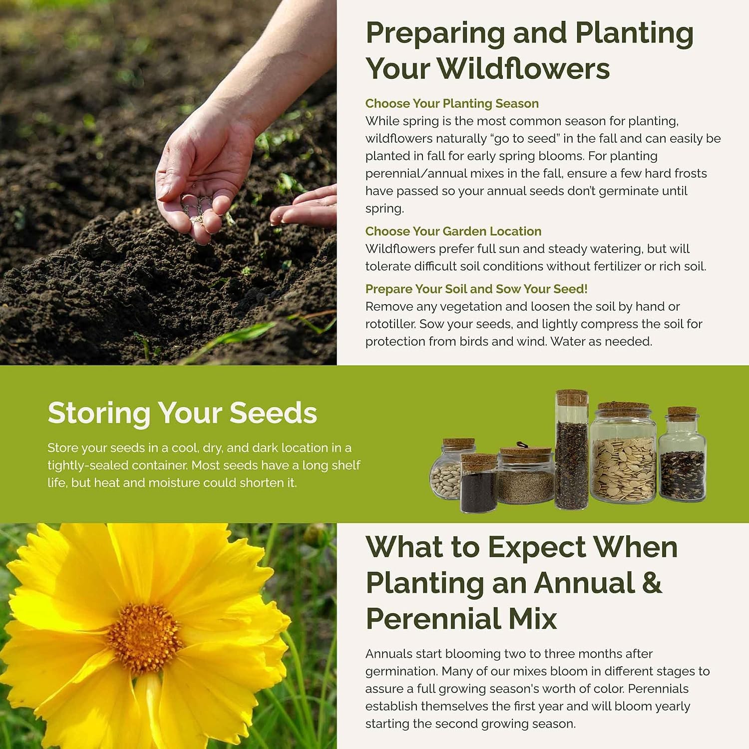 Eden Brothers The Bees Knees Pollinator Wildflower Seed Mix, 1/4 lb (135,000+ Seeds) Throw and Grow - 100% Pure, No Fillers - 18-Variety Non-GMO Annual + Perennial, Covers up to 1,100 SqFt, Zones 3-10