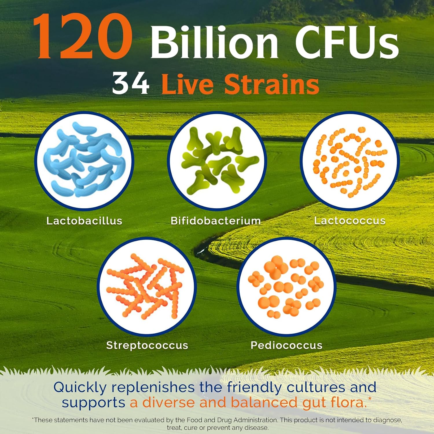 Innate Vitality Probiotics 120 Billion CFUs for Men & Women, 34 Strains with Prebiotics & Digestive Enzymes, Immune & Digestive Health
