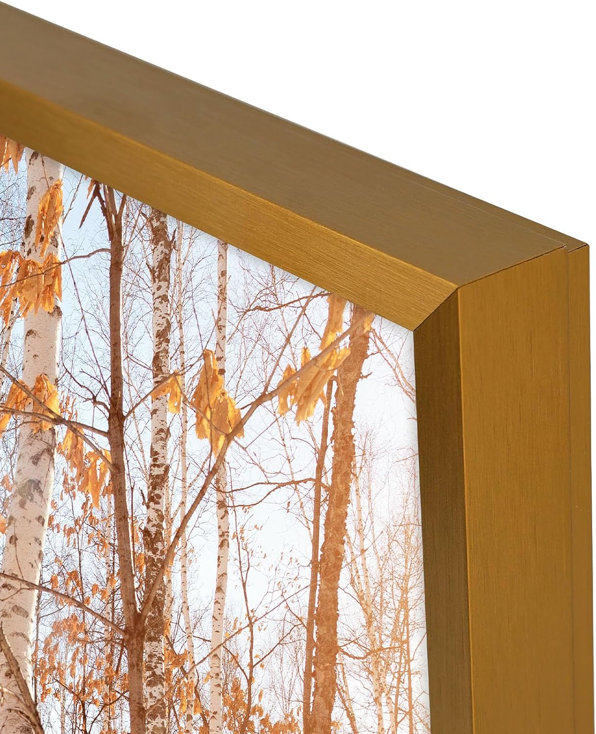 Golden State Art 3 Pack 12x12 Black Aluminum Frames, Real Glass Fronts