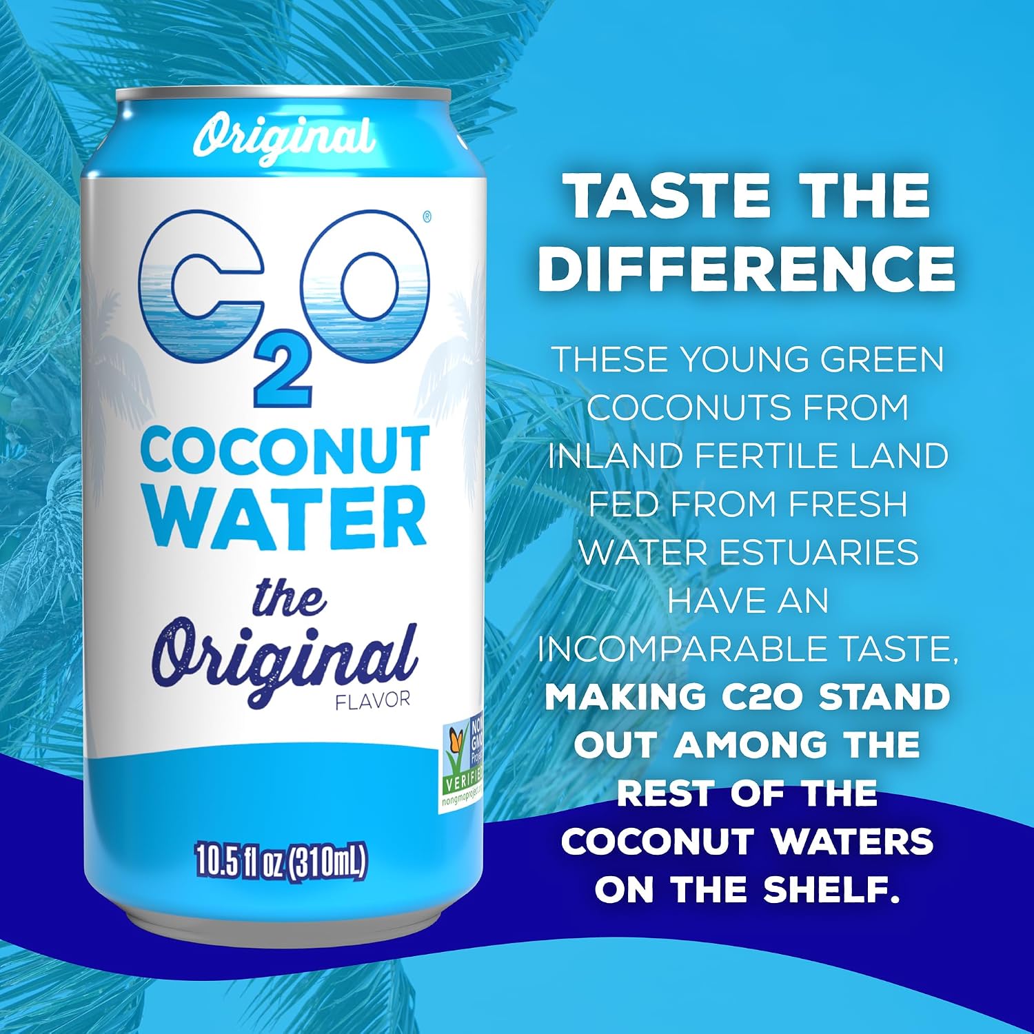 C2O - Coconut Water with Pineapple (12 Pack) - Made with Fresh Coconut Water - Plant Based - Non GMO - Canned Water - Natural Hydration, Essential Electrolytes, & Potassium - 12 Cans, 17.5 FL OZ