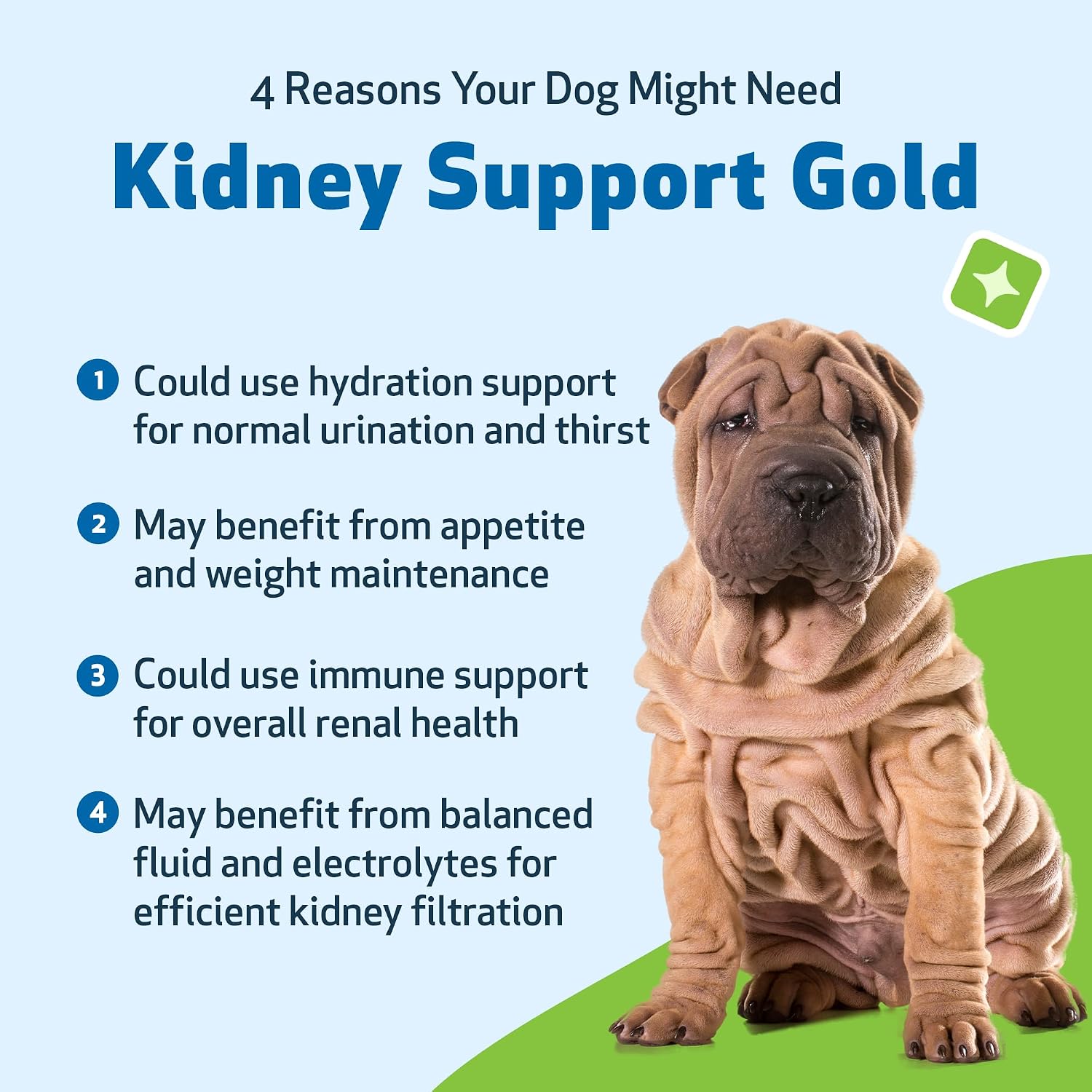 Pet Wellbeing Kidney Support Gold for Dogs - Kidney Care & Hydration, 2 oz