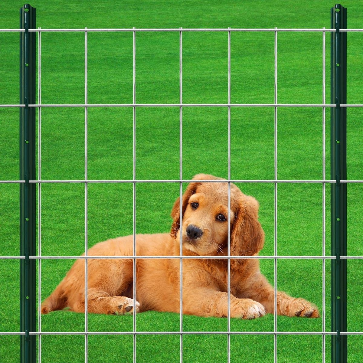 16GA Galvanized 48in x 50ft-3in x 2in Welded Wire Mesh Garden Economy Fence