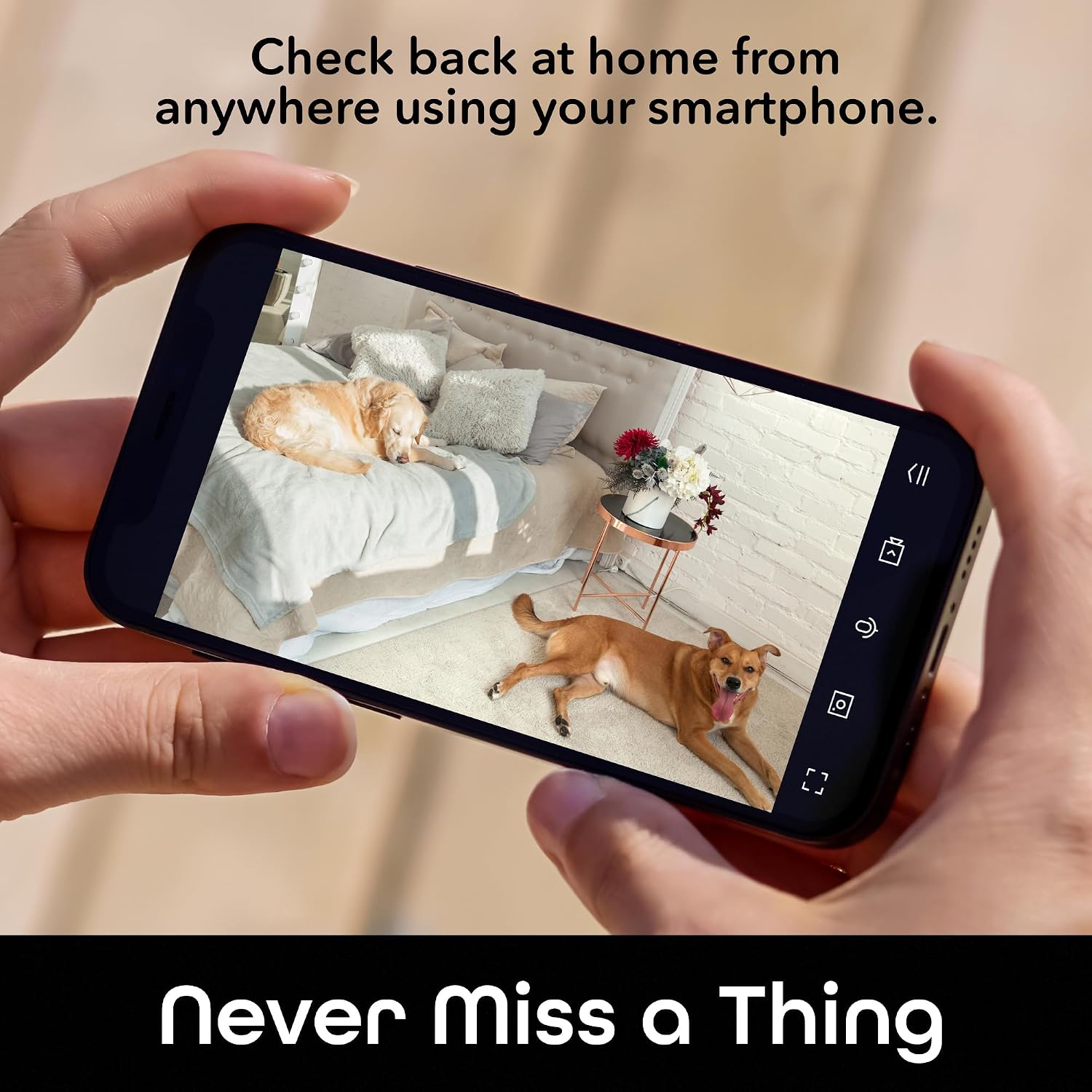 Geeni PetConnect Auto-Rotate Crystal-Clear 2K Quad HD Smart Pet Camera | 2560X1440 2K resolution at 20 fps, motion detection, night vision