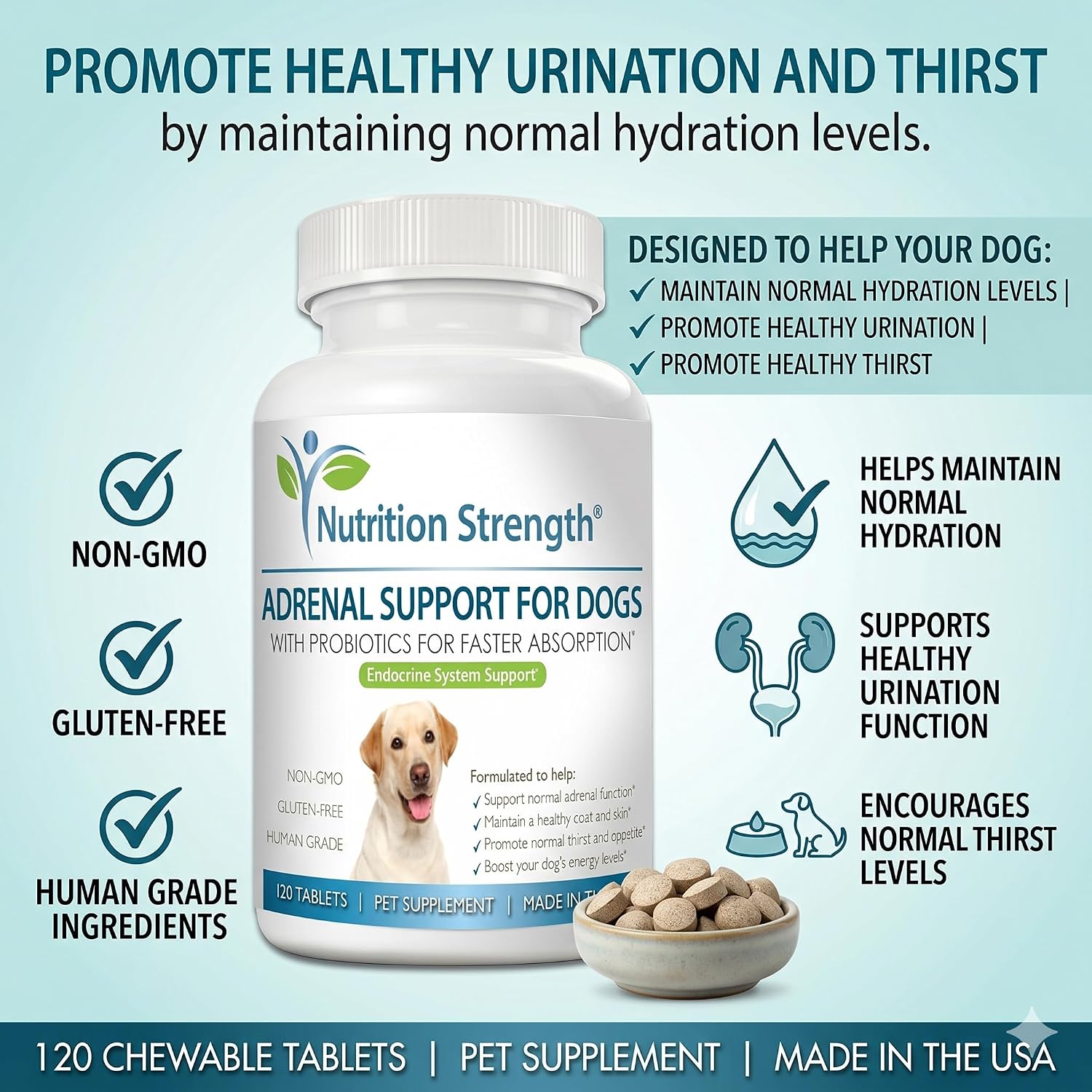 Adrenal Support for Dogs with Cushing's Disease | Maintain a Healthy Coat and Skin | Promote Normal Urination