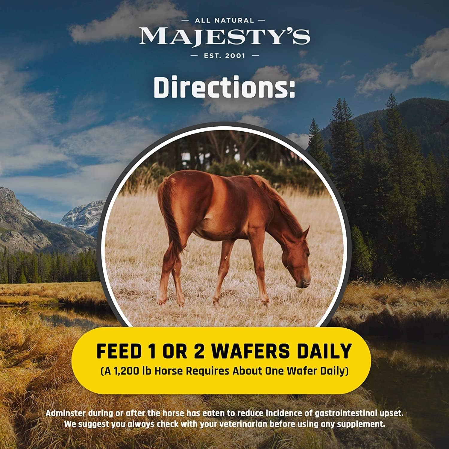 Majesty's Flex Wafers - Superior Horse/Equine Joint Support Supplement - Glucosamine, MSM, Chondroitin, Yucca, Vitamin C (Regular, 2 Pack (120 Count Total))
