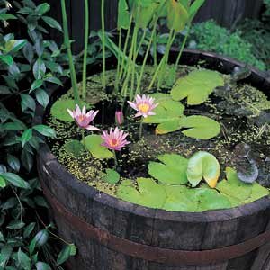 Watertight Half Wine Barrel Planter - WTBP-26