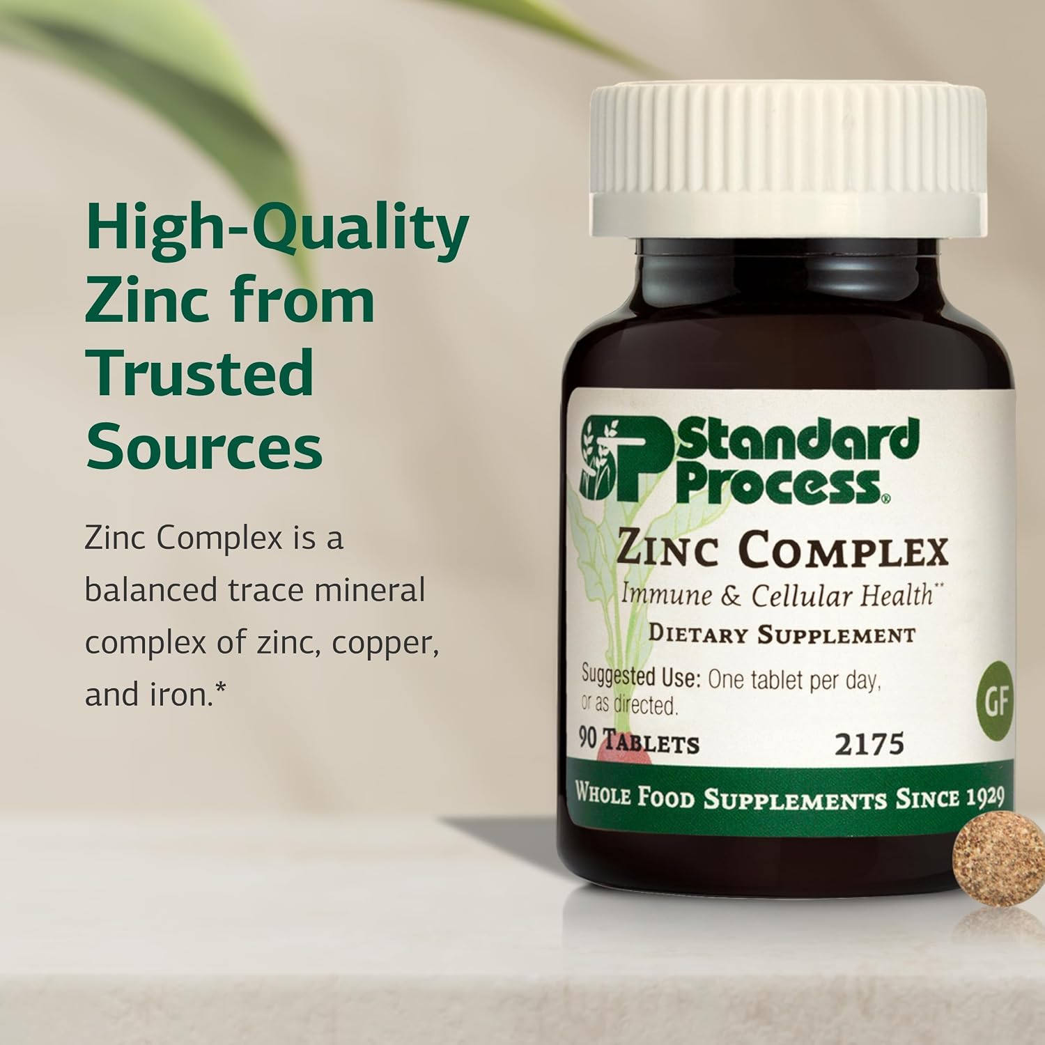 Standard Process Zinc Complex - Enzyme Function Support to Aid Normal Testes Function - Supports Immune Health & Cellular Energy - Gluten-Free