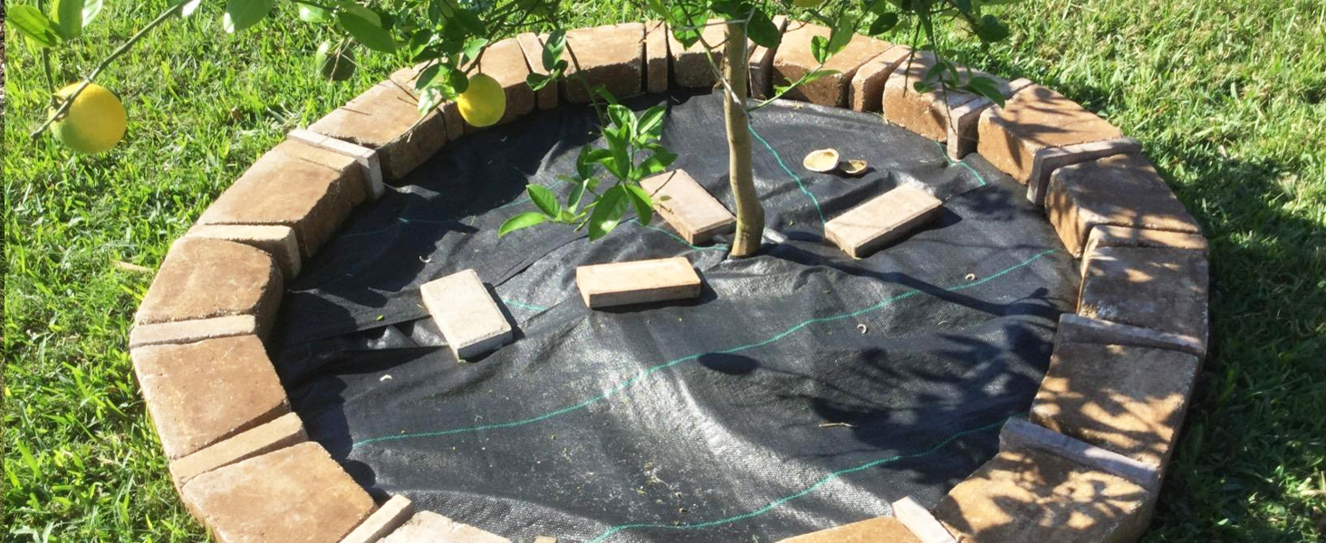 landscape fabric installed surrounded with bricks