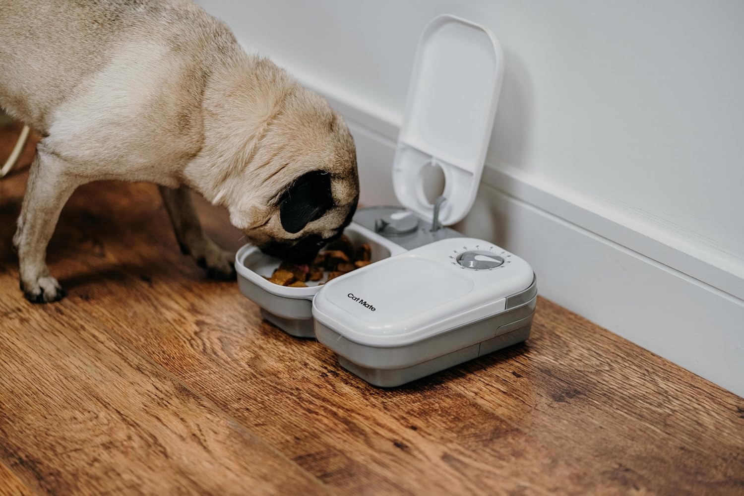 Cat Mate C200 Automatic 2 Meal Pet Feeder with Timer for Cats & Small Dogs