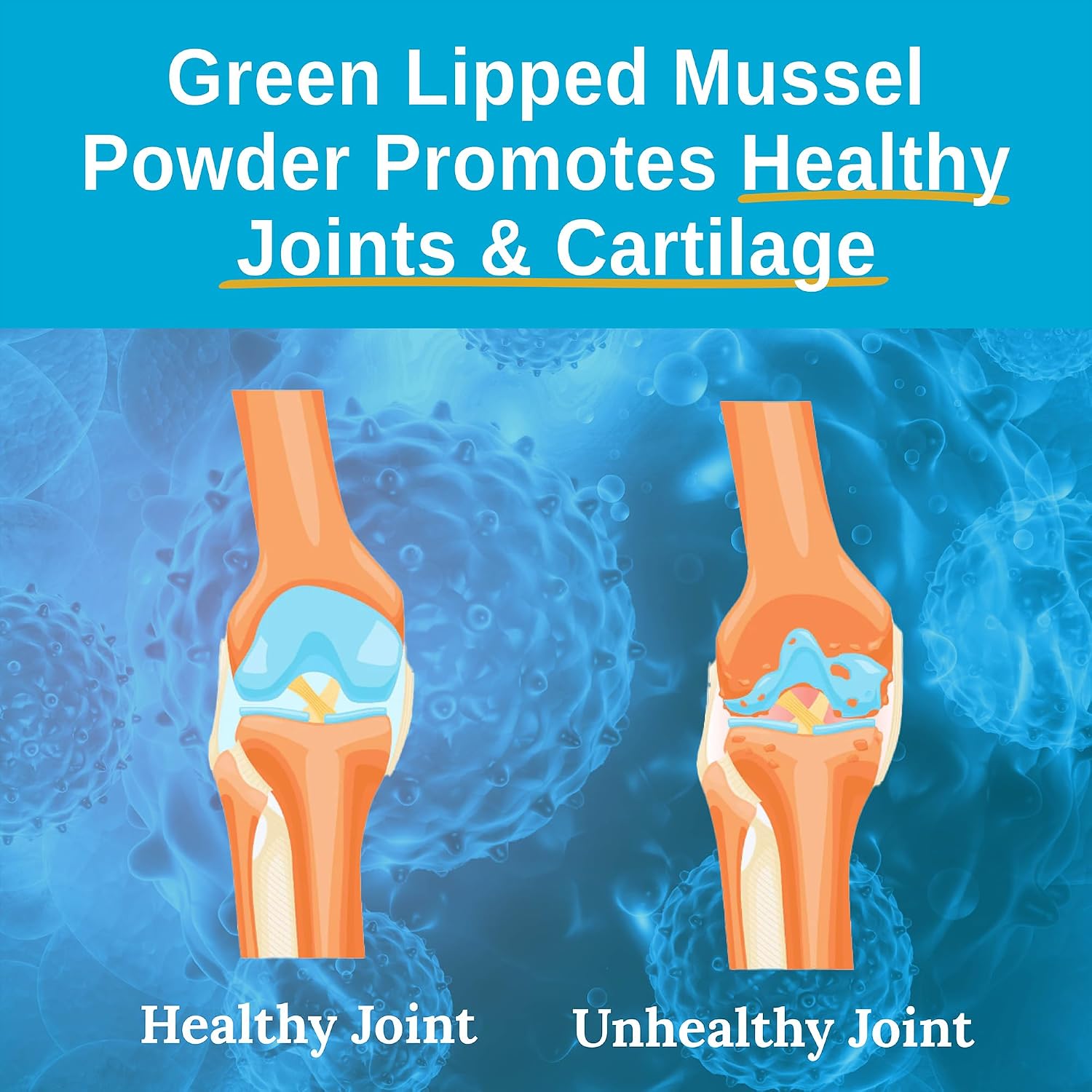 Xtendlife Green Lipped Mussel Supplement, 30 Day Supply | 2400mg Joint Support Formula with Omega‑3 Fatty Acids – New Zealand Sourced Mussel Powder for Mobility & Flexibility