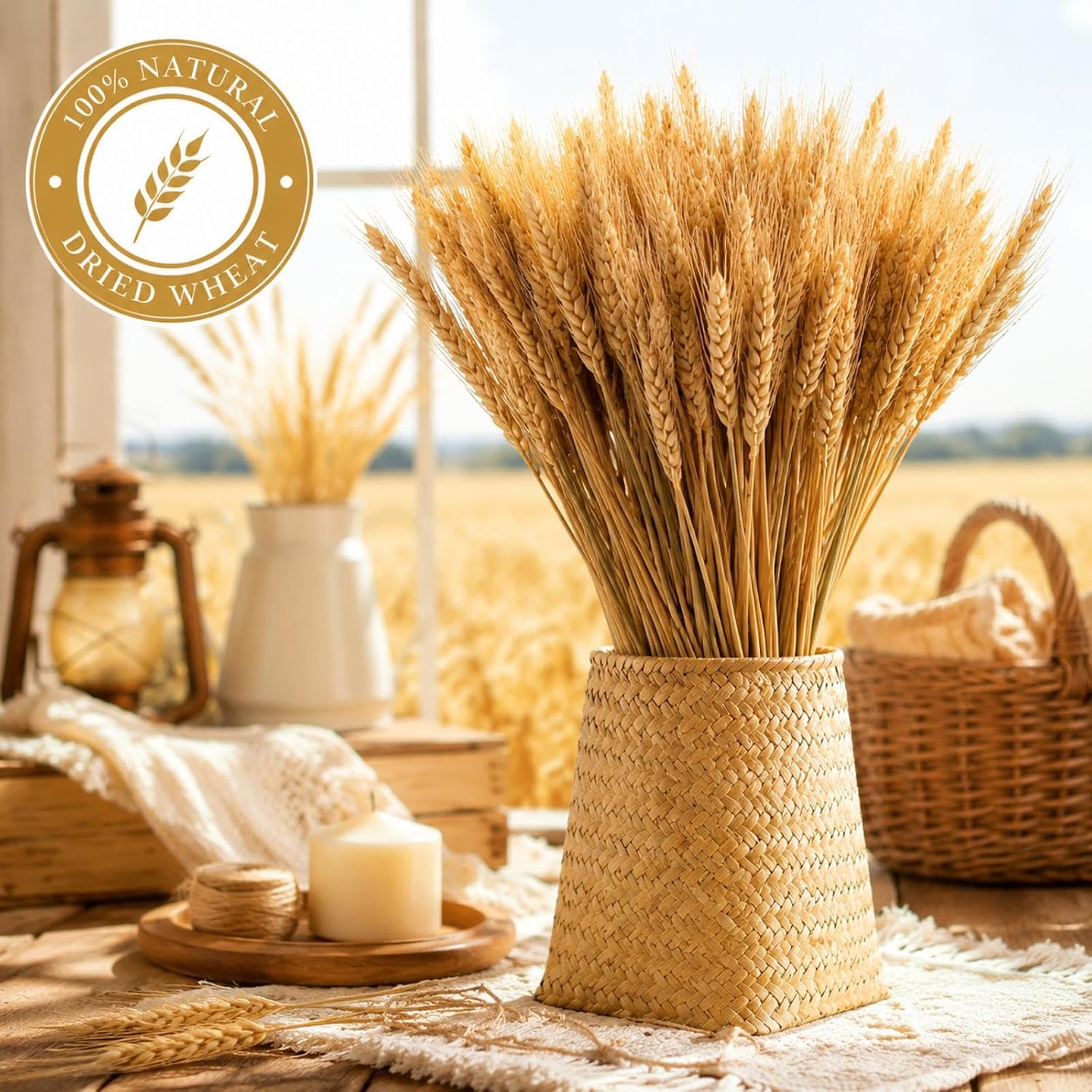 Yarlung 300 Stems Dried Wheat Stalks, 16 Inch Natural Wheat Sheaves Fall Arrangement for DIY Craft, Home Table, Wedding Decor