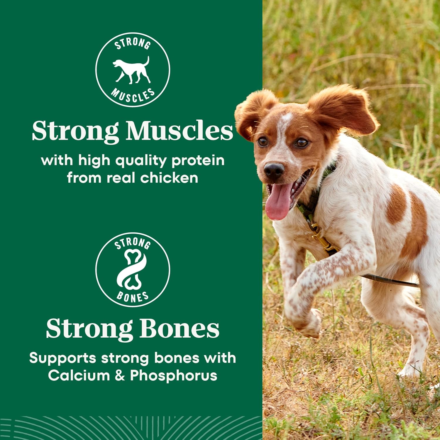 Nutro Natural Choice Small Breed Dry Dog Food, Chicken & Rice, 5 lb | Non-GMO, Real chicken #1 ingredient, no corn, wheat, soy, Omega-3 & 6 for soft shiny coat, supports energy, bones & muscles
