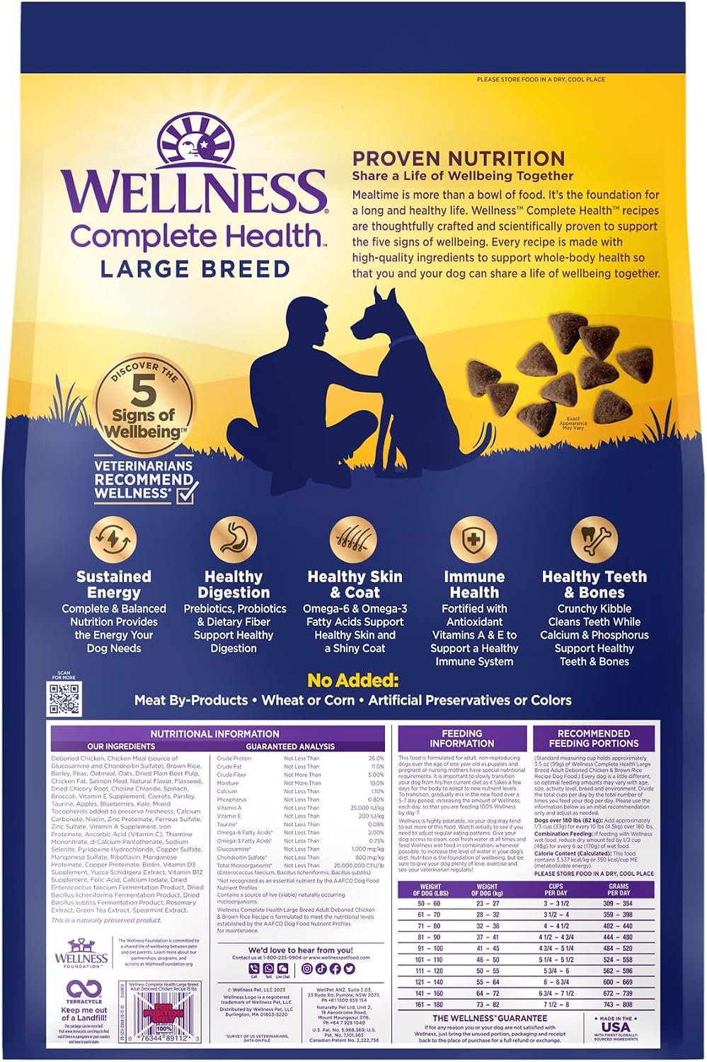 Wellness Complete Health Large Breed Puppy Dry Dog Food, Wholesome Grain Kibble, Natural, Chicken, Brown Rice and Salmon Meal Recipe, 30 lb Bag
