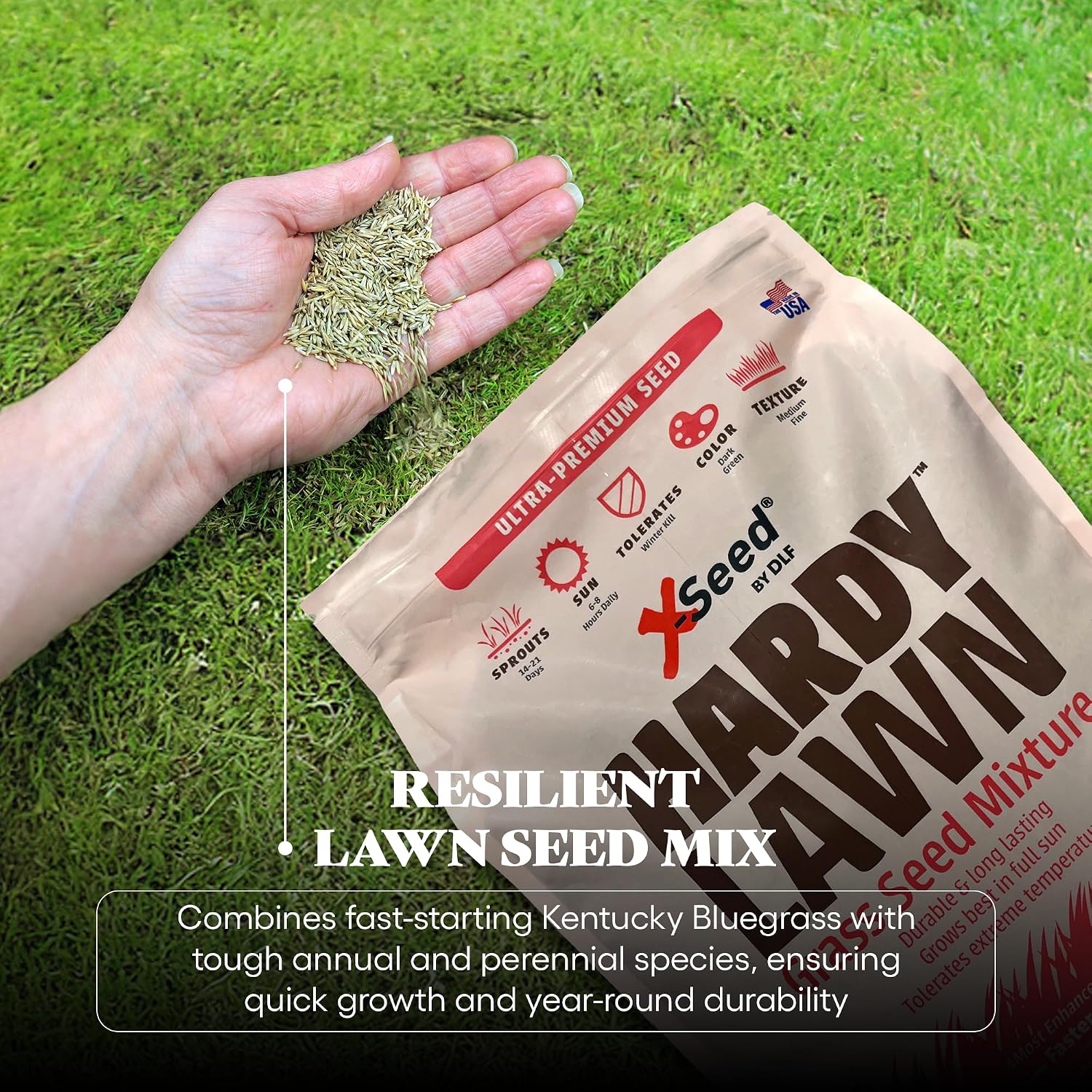 X-Seed Ultra Premium Hardy Lawn Seed Mixture, 7-Pound