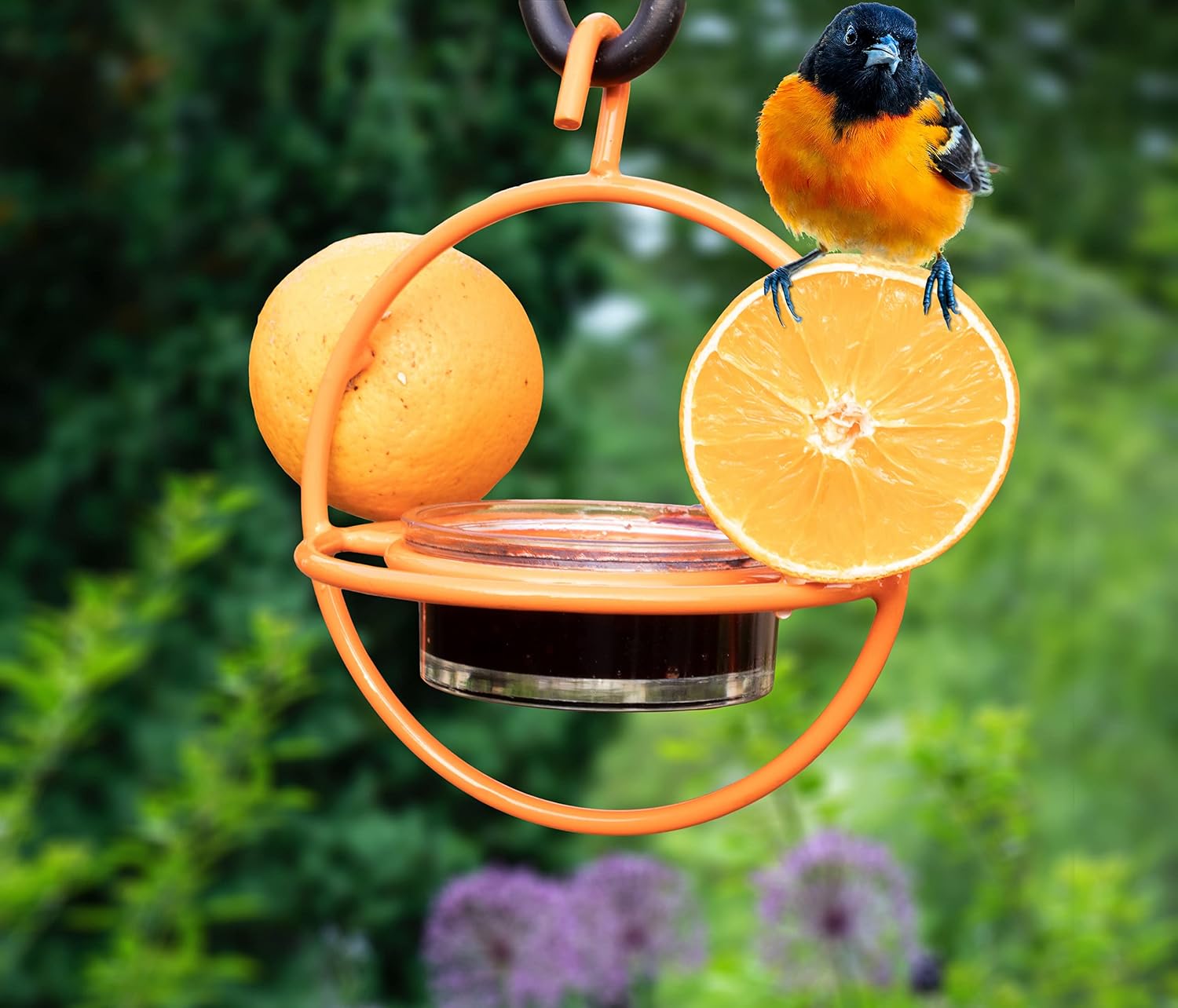 Monarch Abode Hanging Hummingbird Feeders for Outdoors – Single Handcrafted Hanging Glass Hummingbird Feeder with Red Bowl & Perch