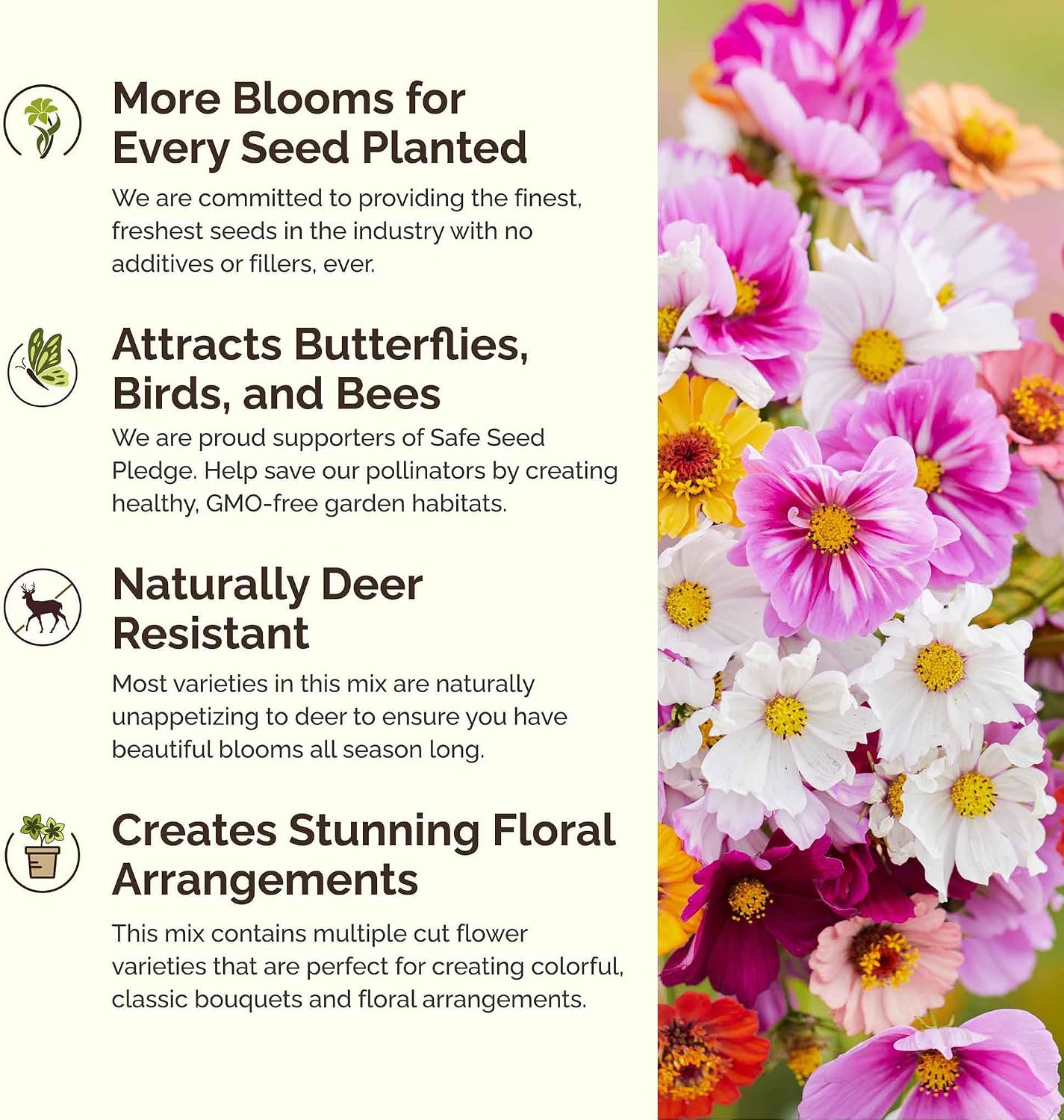 Eden Brothers All Perennial Wildflower Mixed Seeds for Planting, 1 lb, 480,000+ Seeds with Lupine, Shasta Daisy | Attracts Pollinators, Plant in Spring or Fall, Zones 3, 4, 5, 6, 7, 8, 9, 10