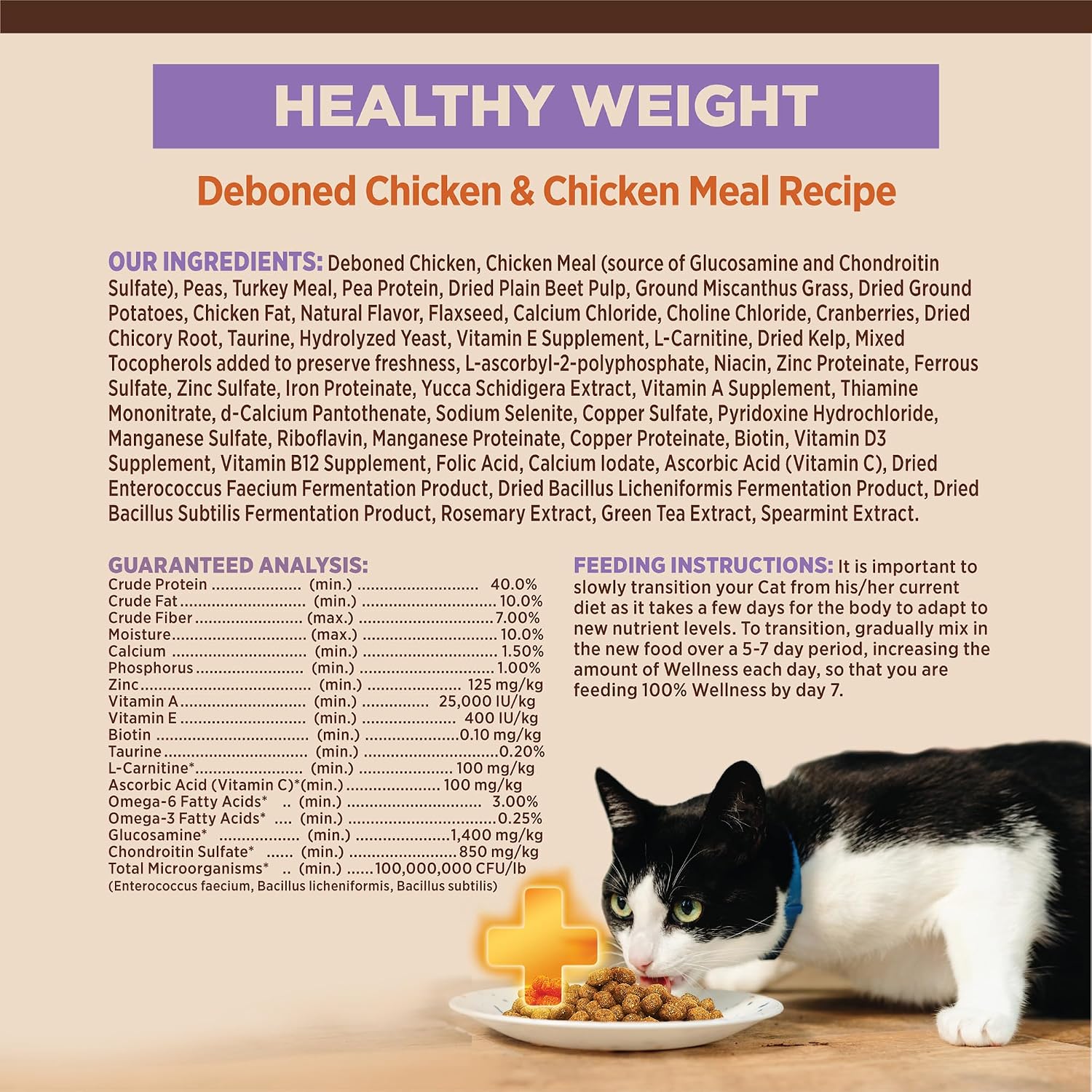 Wellness CORE+ Adult Dry Cat Food, Natural, Wholesome Grains Kibble, Digestive Health Chicken and Rice Recipe, 5 lb Bag