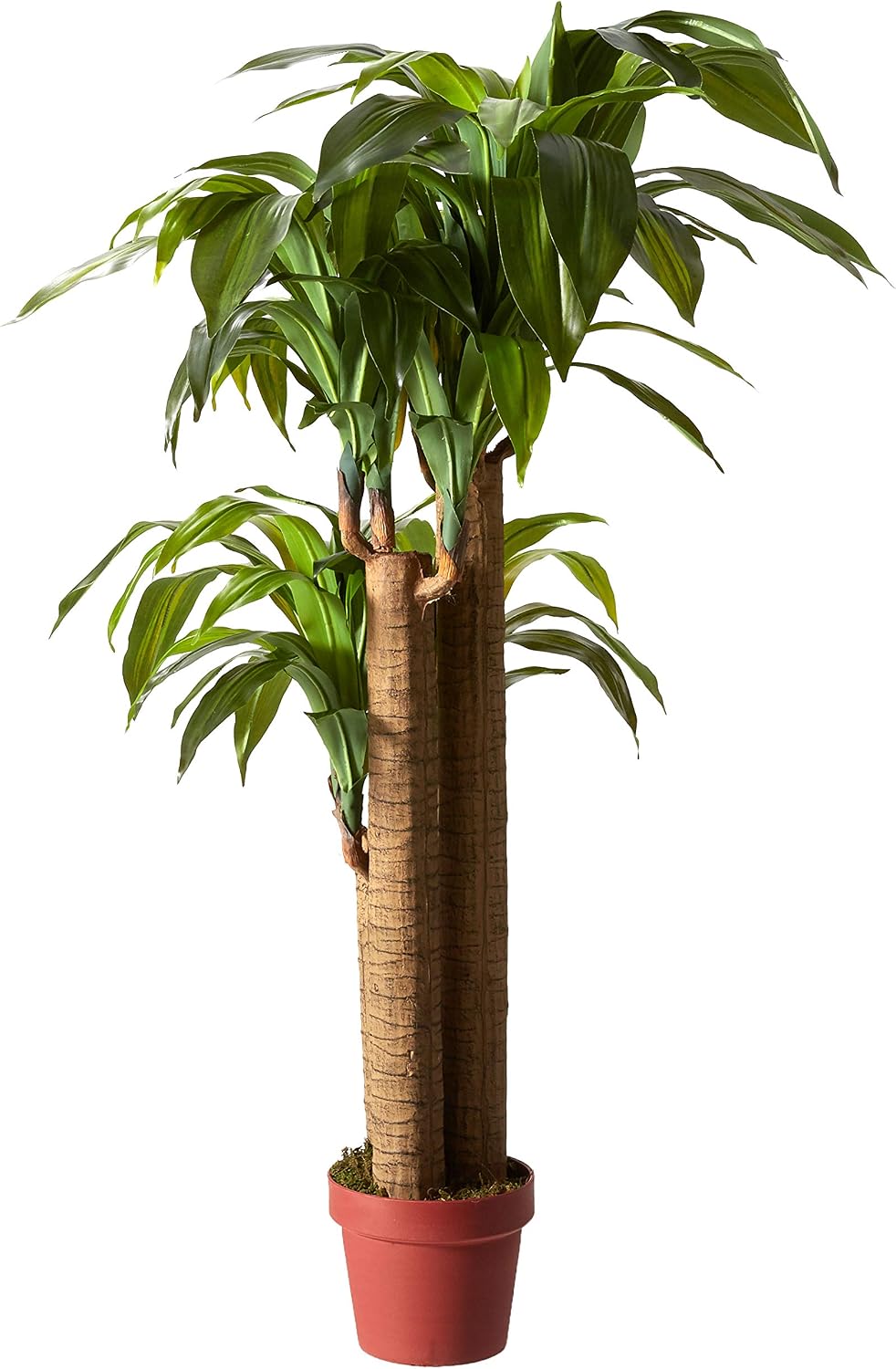 Nearly Natural 35in. Sansevieria with Black Planter and 4ft. Corn Stalk Dracaena Silk Plant (Real Touch), Green