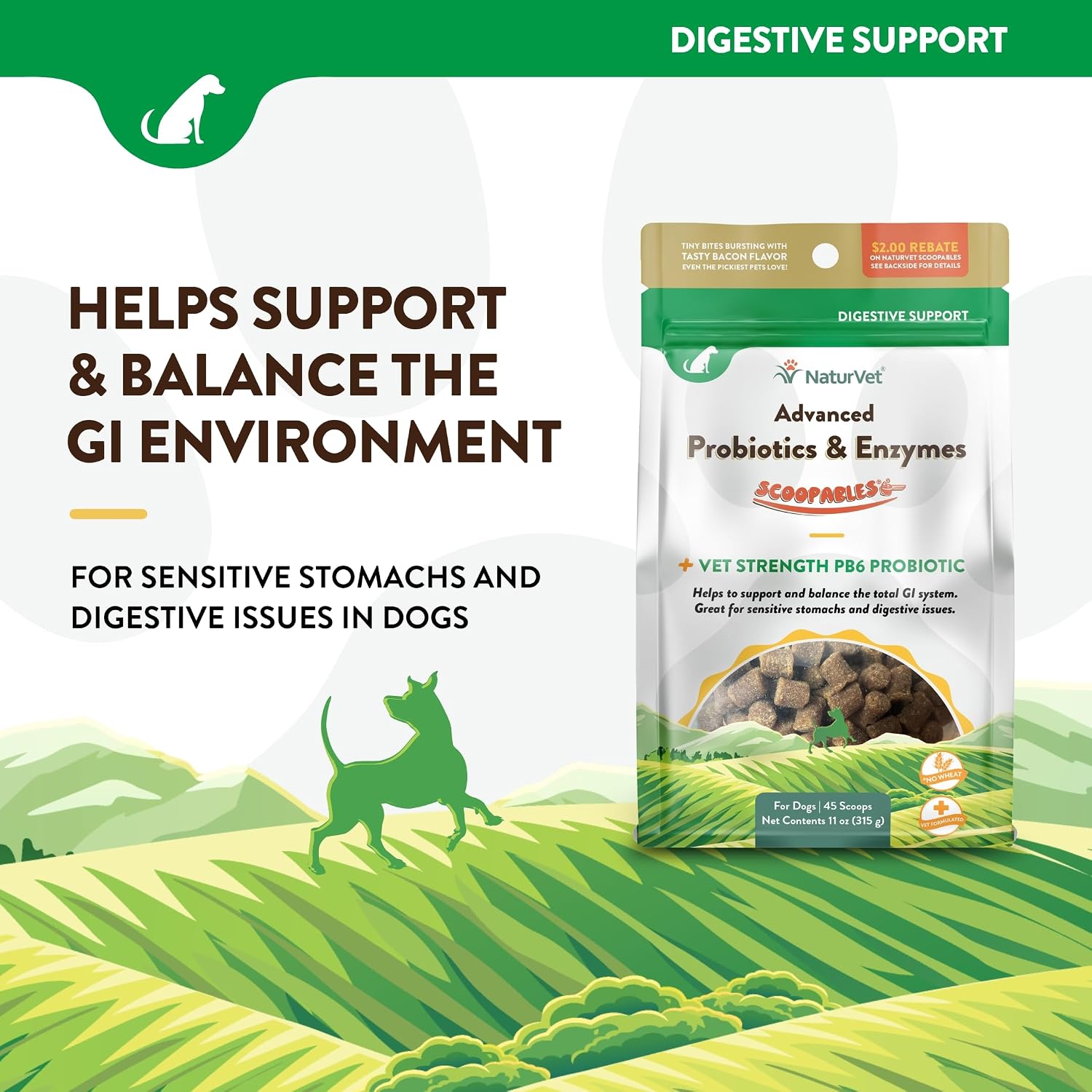 NaturVet Digestive Enzymes with Pre & Probiotic for Dogs & Cats - 8 oz | Supports Diet Changes & a Healthy Digestive Tract with Prebiotics, Powder