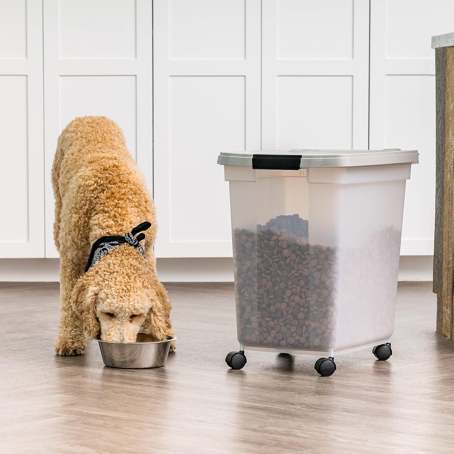 IRIS USA Dog Food Storage Container, Up to 25 lbs, Black, Made in USA | Wheels for Mobility, Airtight Seal, BPA-Free, Best for Bird Seed, Cat food, Cat Litter, Chicken Feed, Pellets