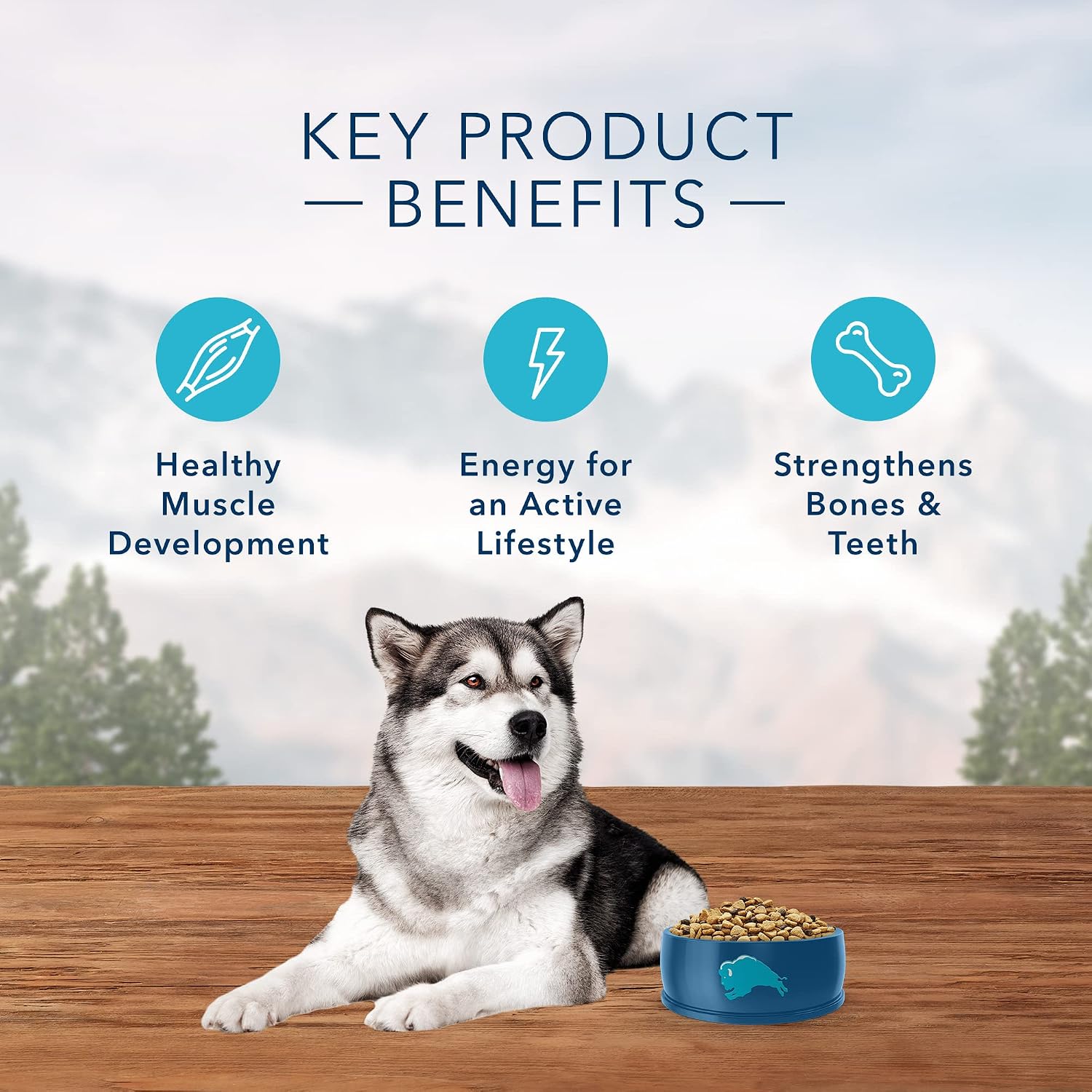 Blue Buffalo Wilderness Chicken Adult Dry Dog Food, Grain-Free, 24 lb | 39g Protein, Real Chicken #1 Ingredient, Supports Immunity with Antioxidant-Rich LifeSource Bits, Promotes Healthy Muscles