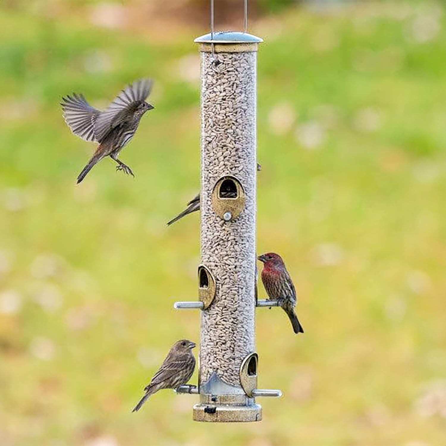 Aspects 395 Quick-Clean Seed Tube Feeder, Medium - Antique Brass